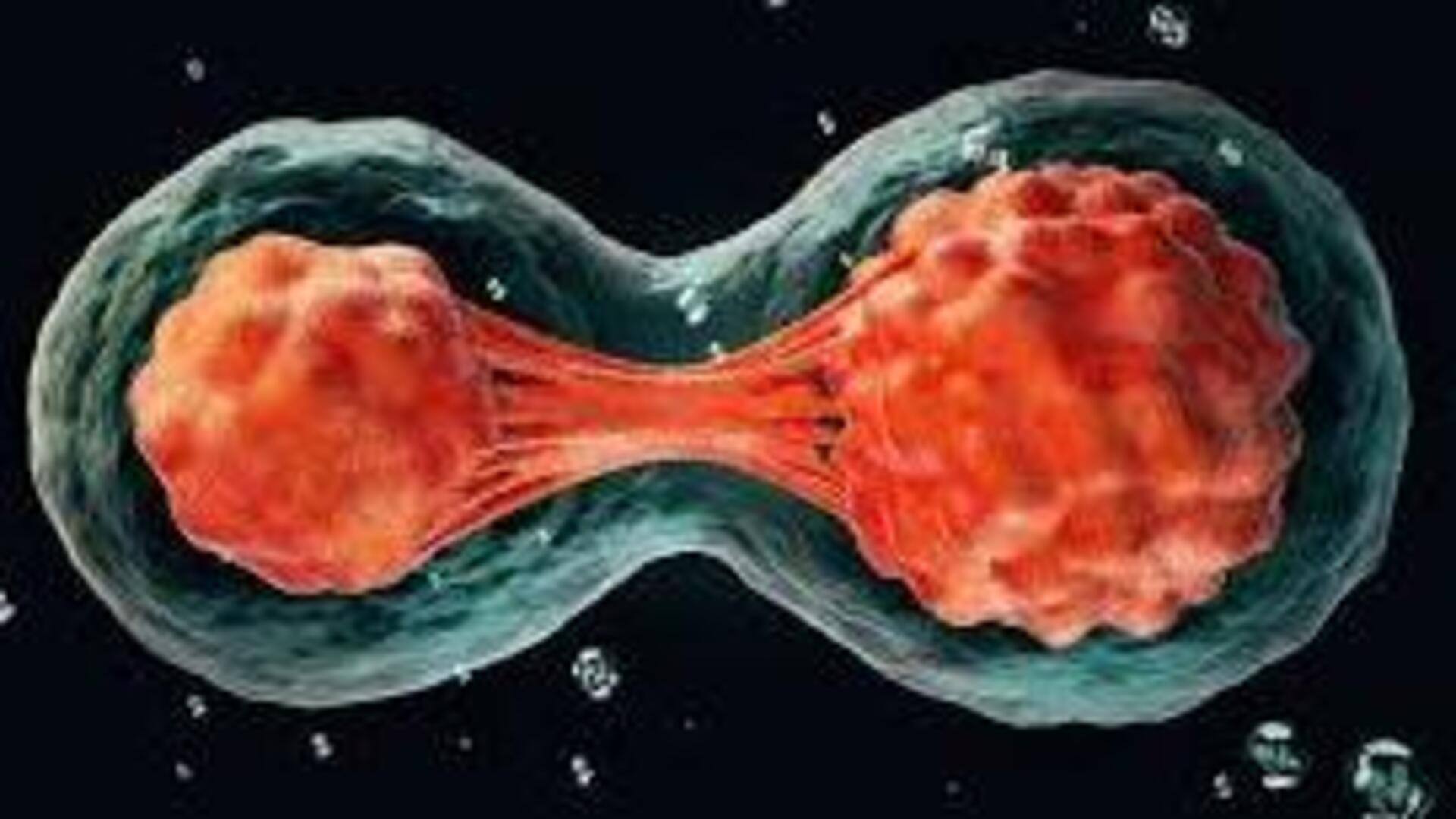 Scientists create human embryos from skin cells for first time