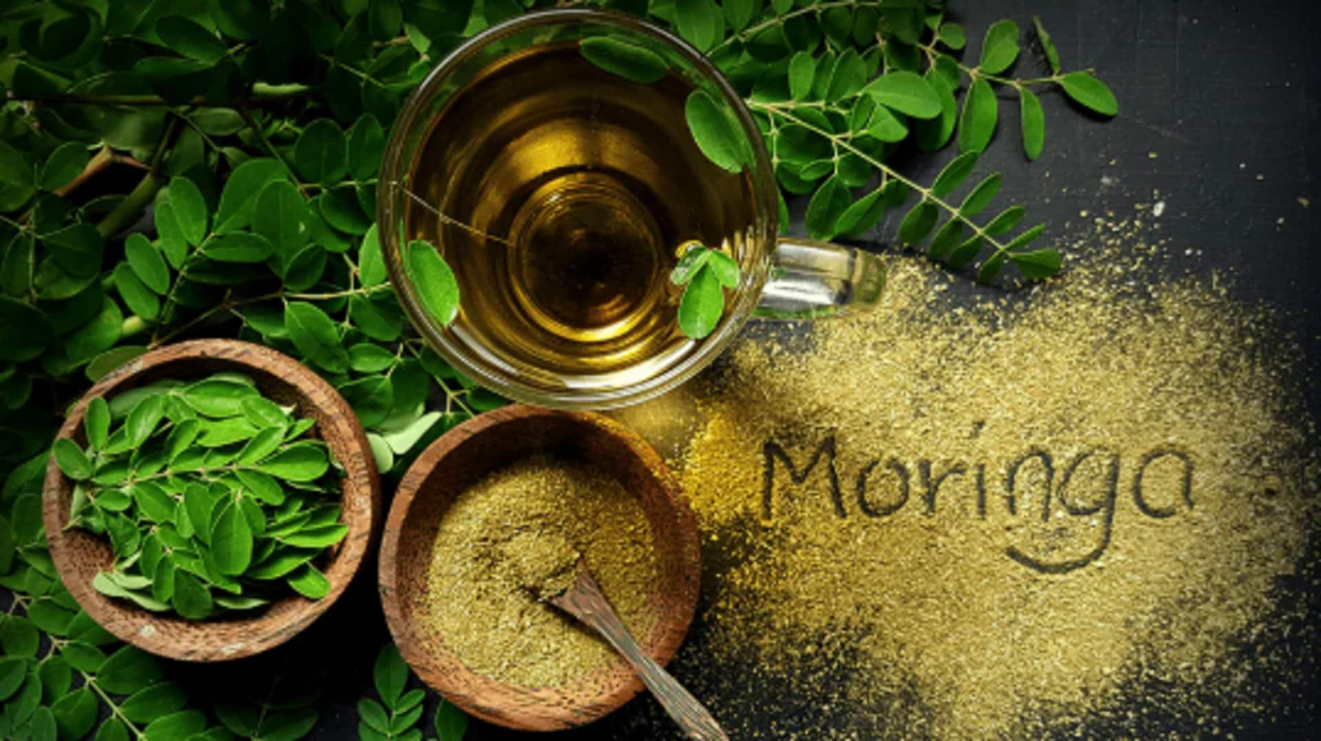Moringa can make your dog healthier: Here's how Moringa can make your dog healthier: Here's how
