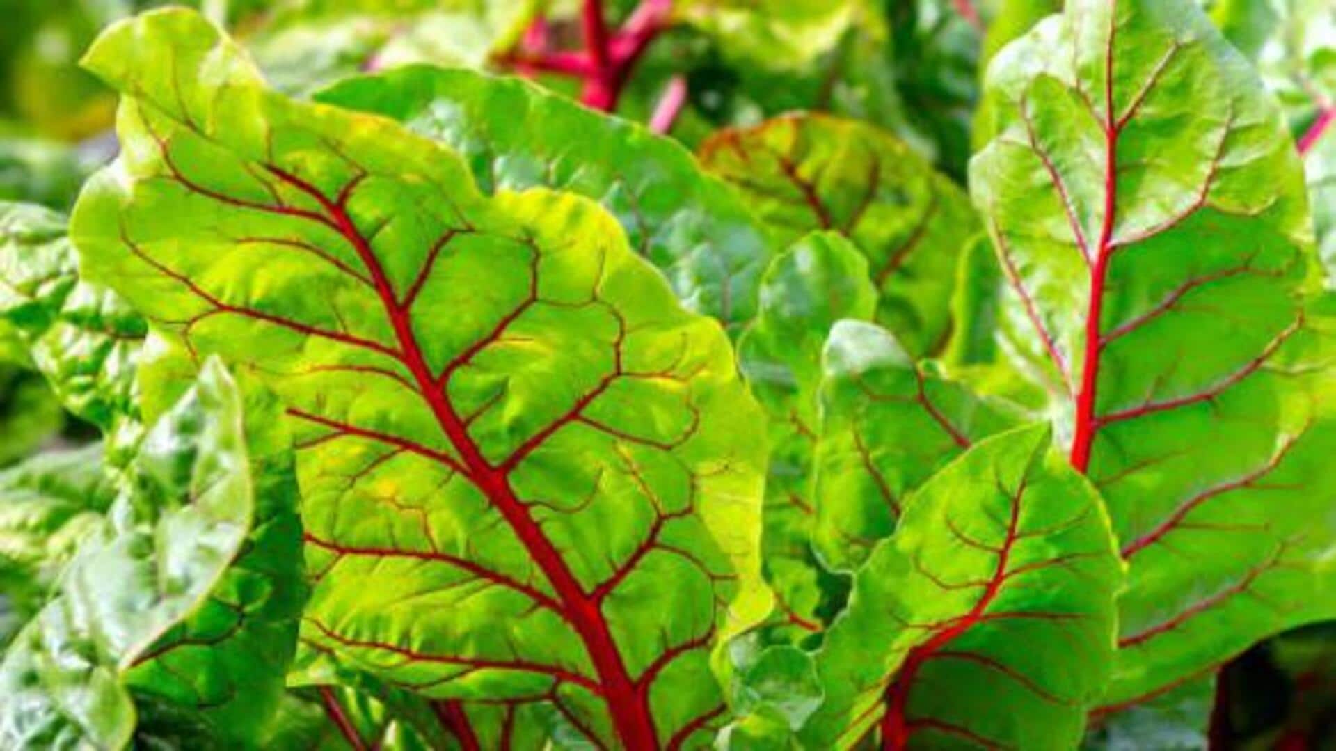 Add a fresh twist to meals with Swiss chard 