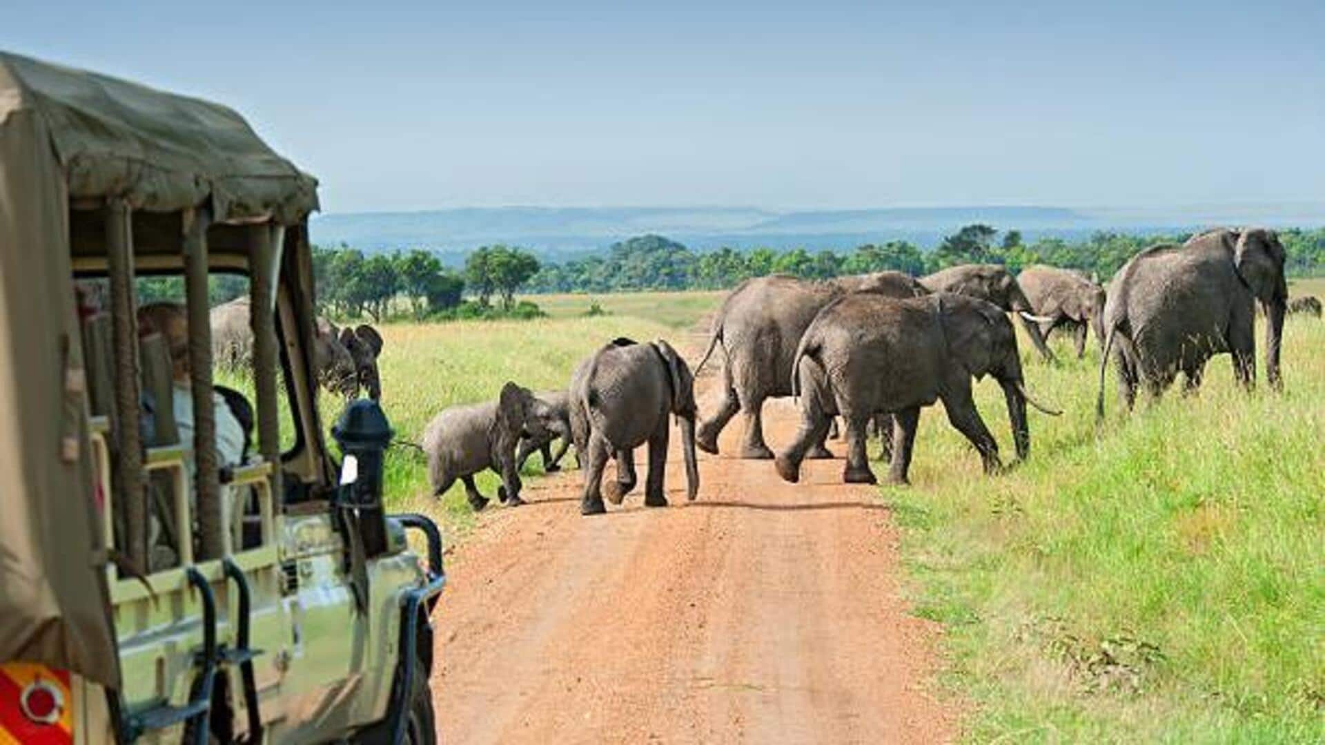 Planning an urban safari? Here are the best spots Planning an urban safari? Here are the best spots