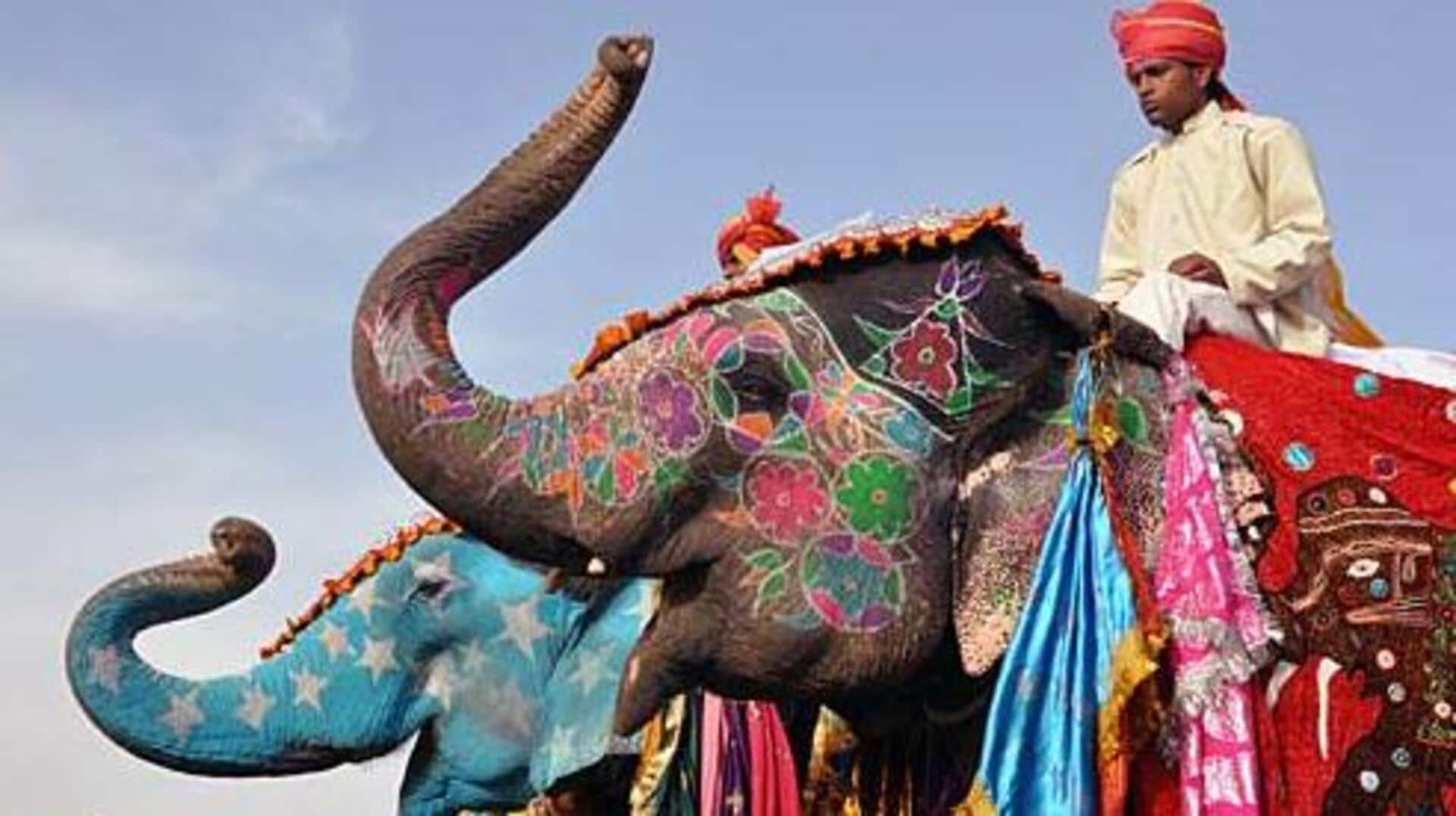 Experience Jaipur's vibrant festivals