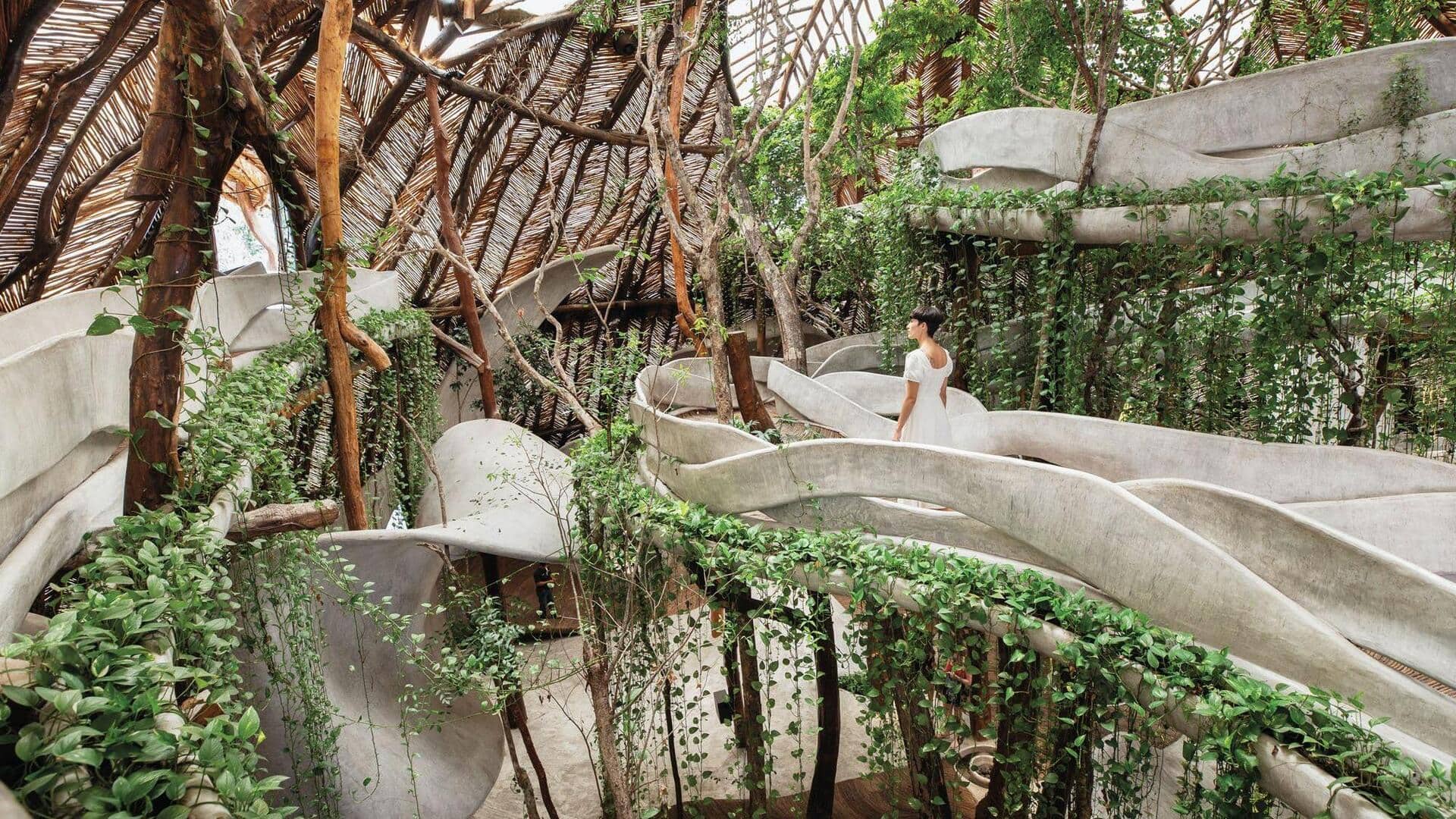 What is biophilic design?