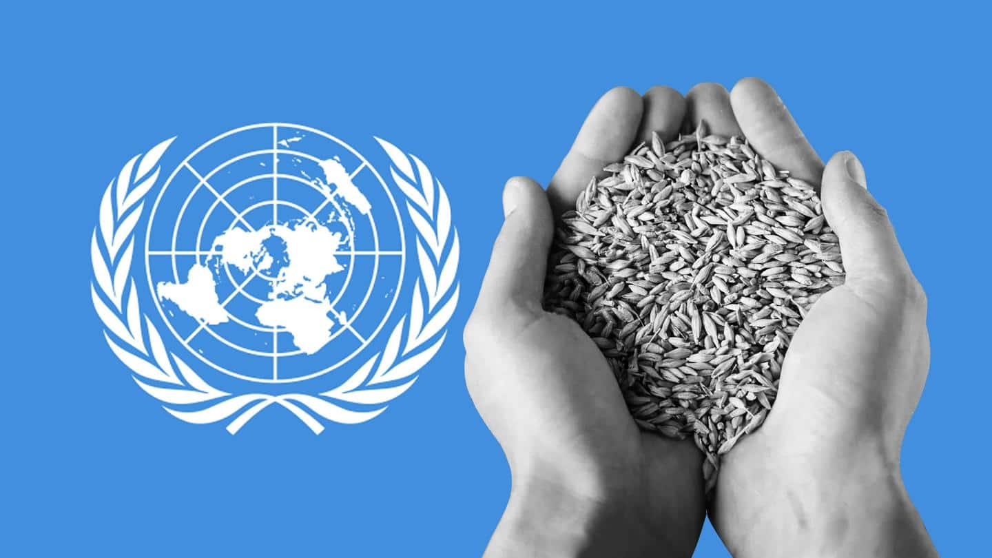 India defends wheat export ban at UN with COVID-19 barbs