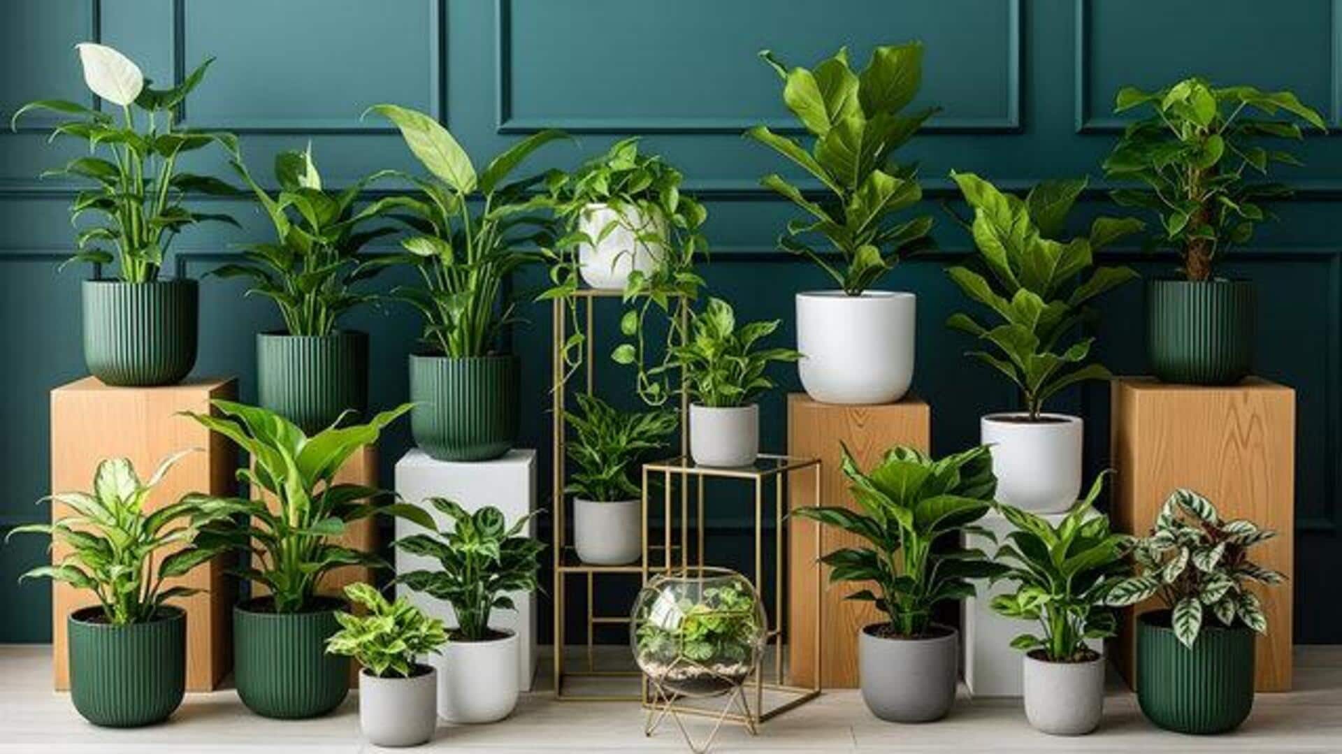 This DIY plant holder will add charm to any space 