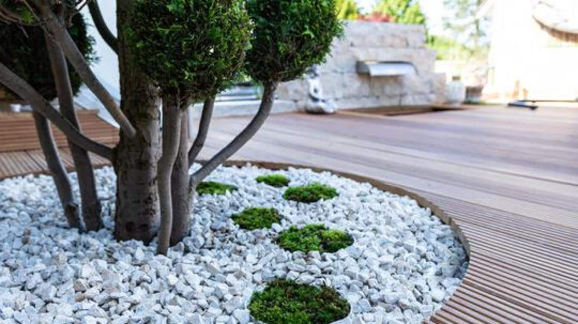 5 creative uses of gravel in gardening