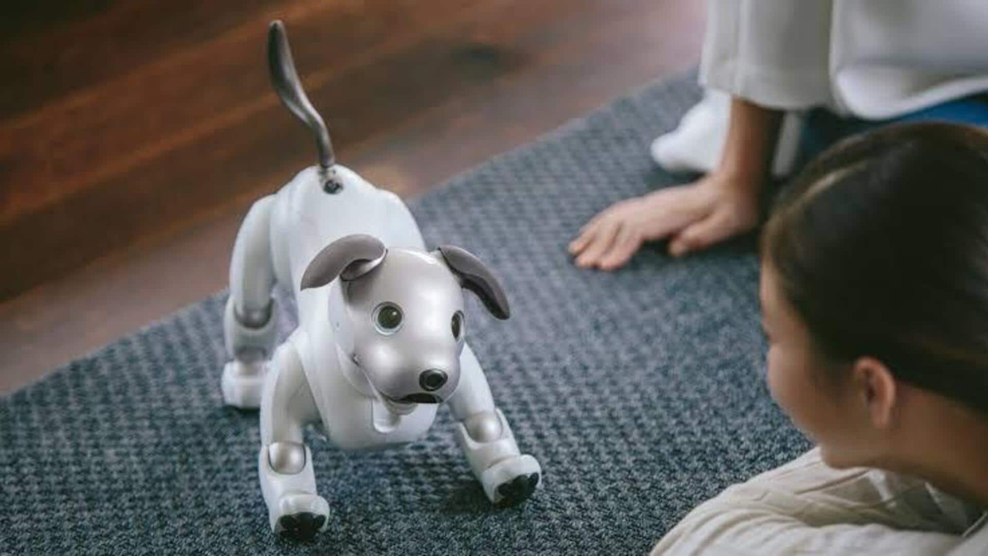 Sony to stop selling its pet robot aibo in Japan