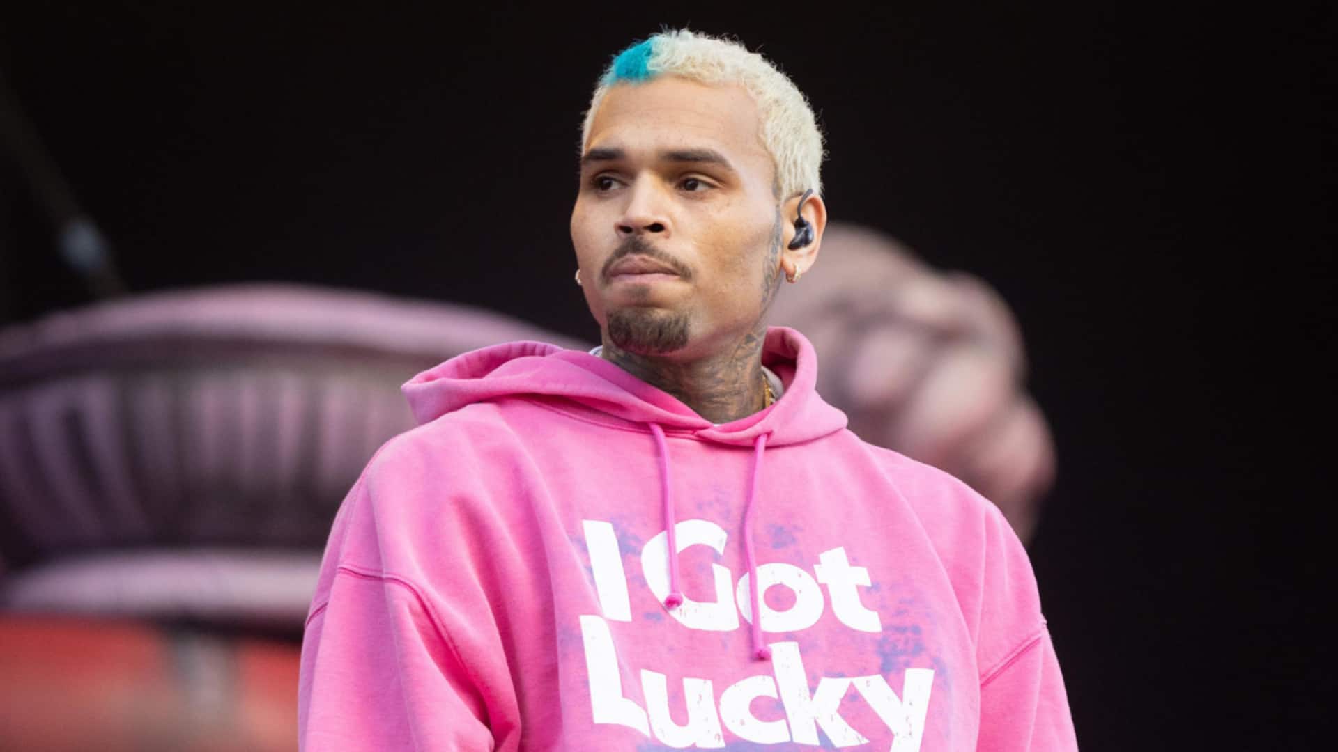 Chris Brown owes former housekeeper $13M after vicious dog attack 