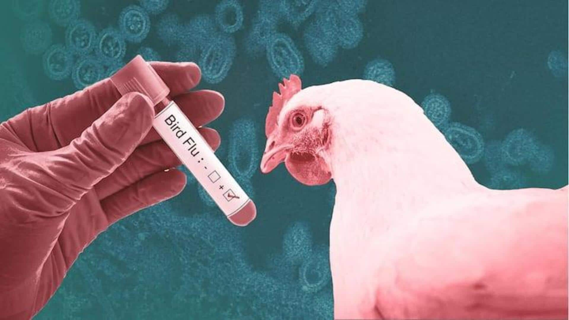 US—Bird flu virus shows mutations in 1st severe human infection