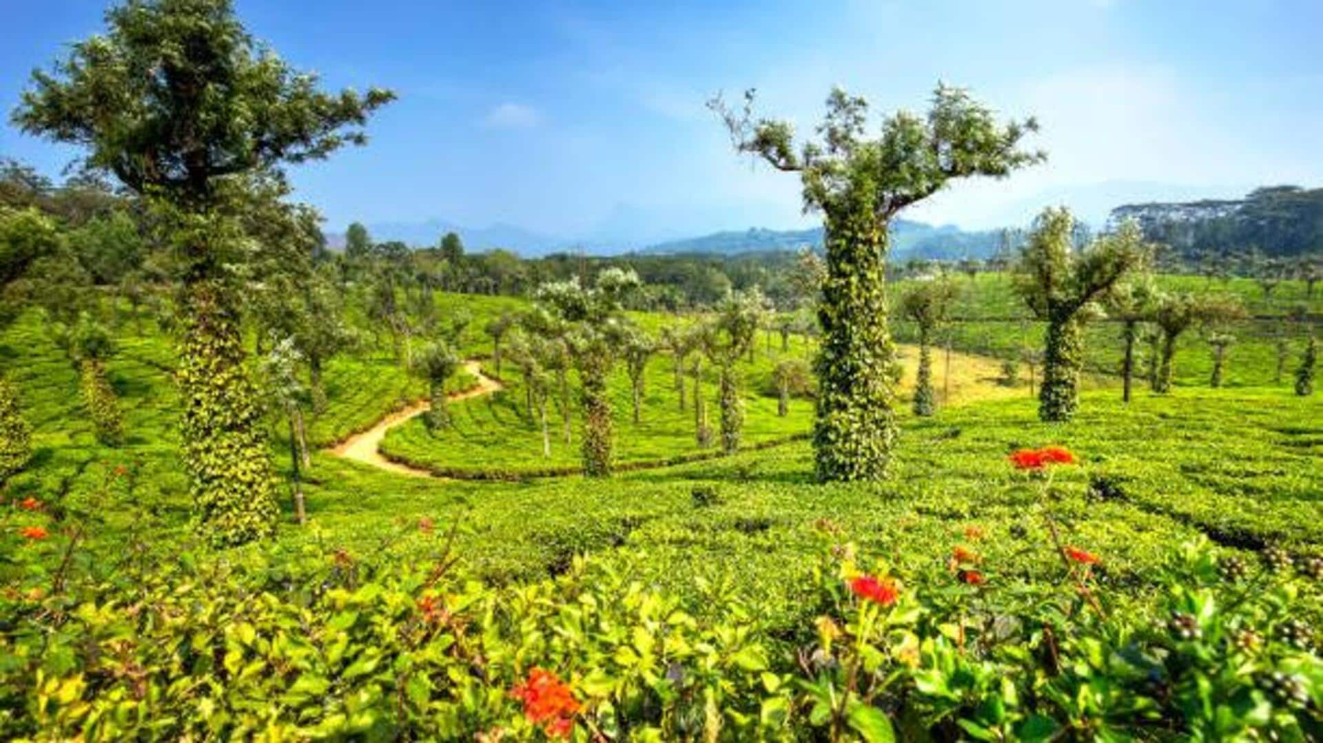 You must visit these spice plantations in India