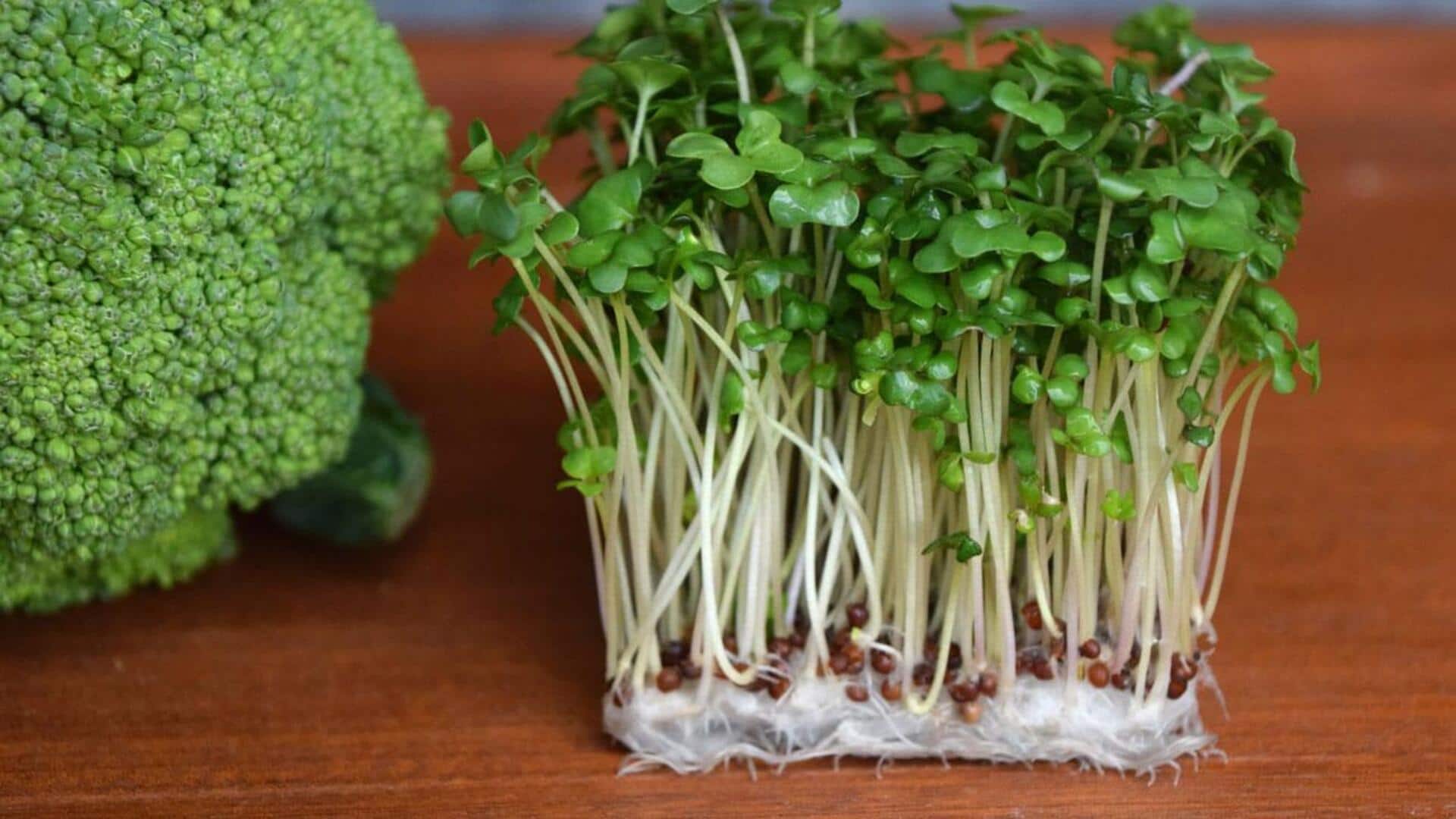 Why you must add broccoli sprouts to your diet