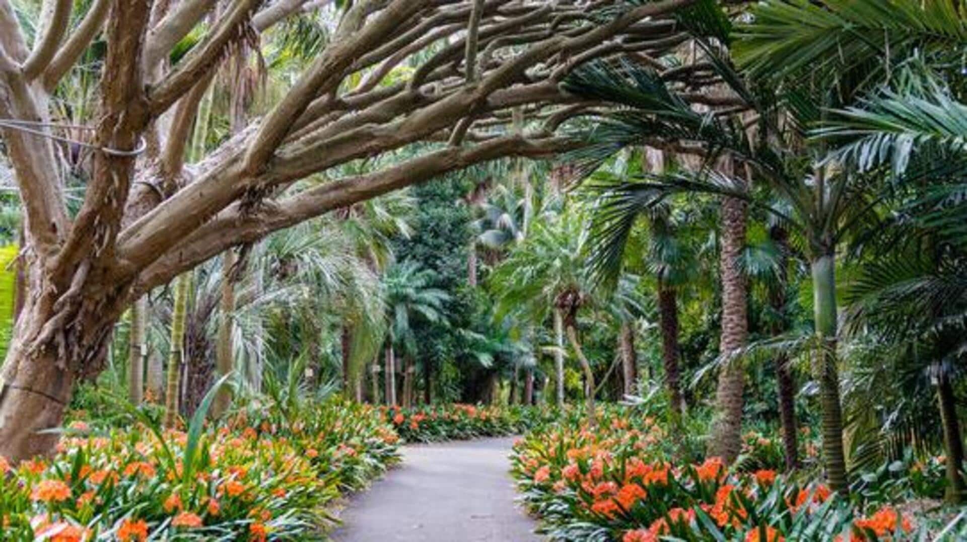 5 amazing botanical gardens worth exploring 5 amazing botanical gardens worth exploring