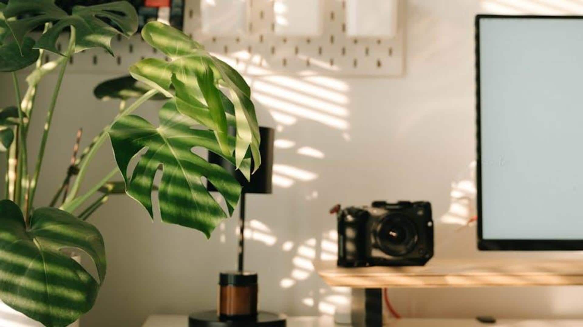 How to design a calm home office How to design a calm home office