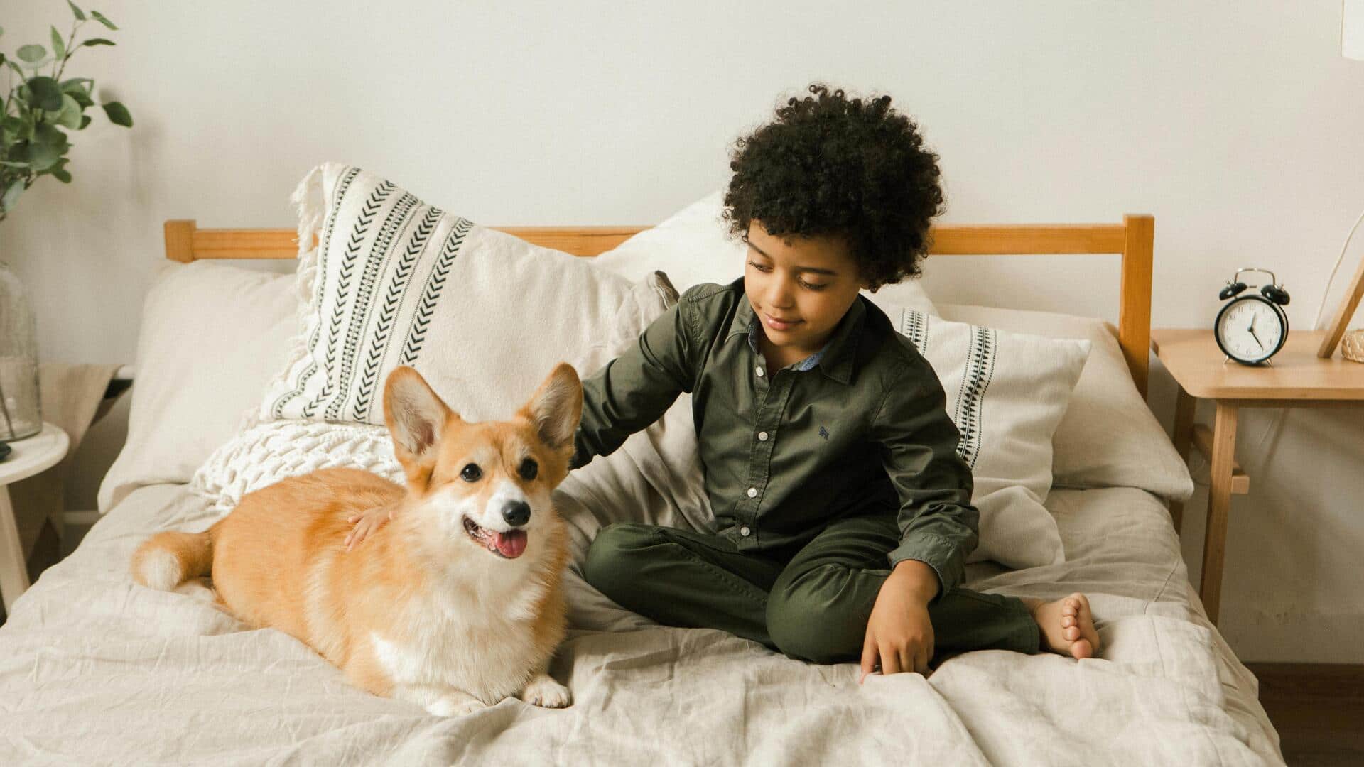 Pet allergies? Try these game-changing dog bedding solutions