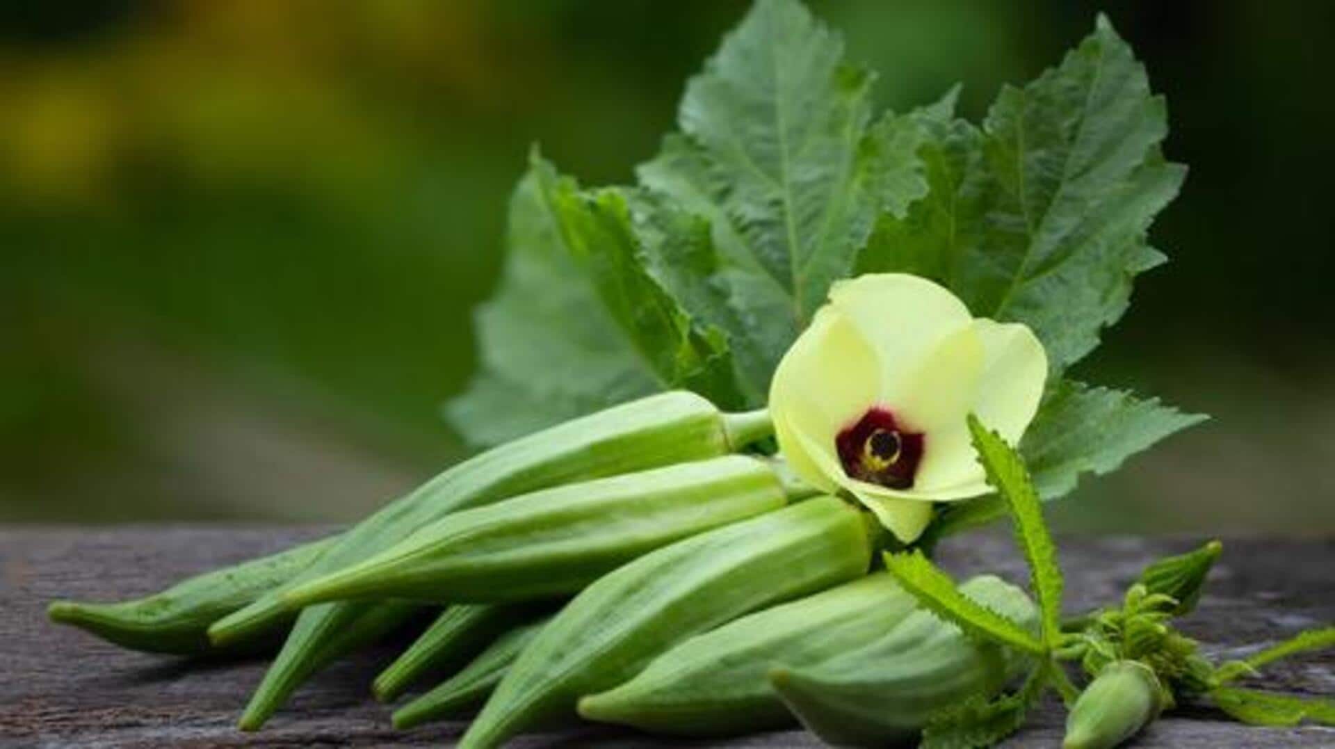 Indoor gardening 101: How to grow okra