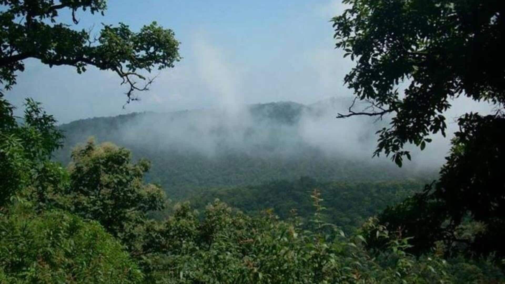 Maharashtra government clears 83,700-sq ft forest land for Adani projects