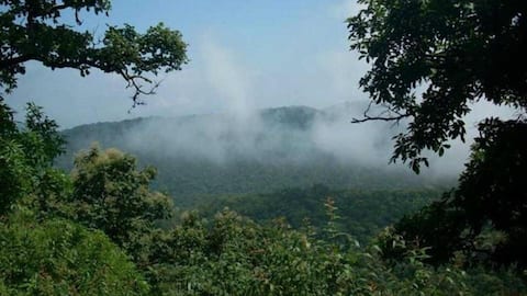 Maharashtra government clears 83,700-sq ft forest land for Adani projects
