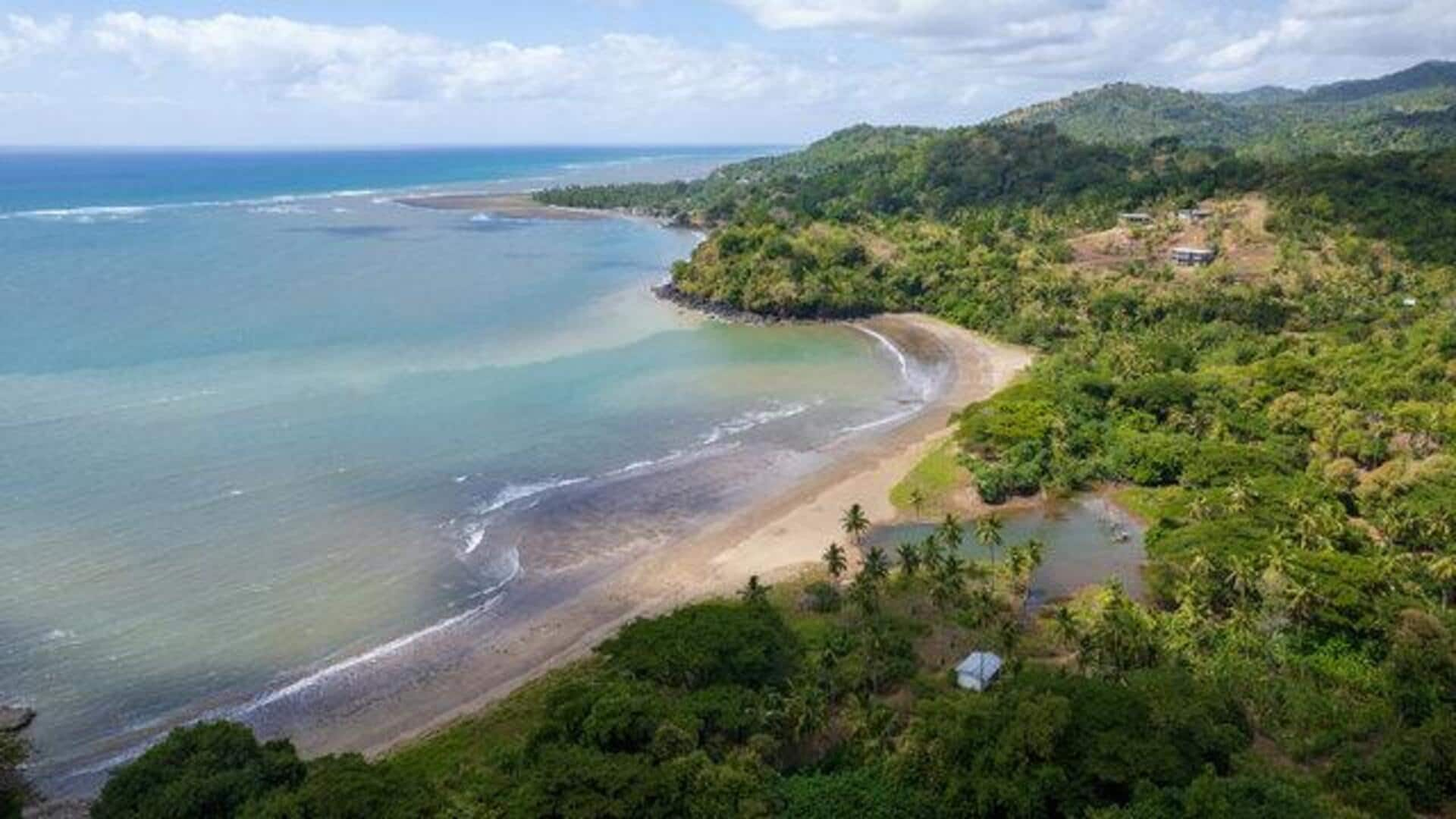 Discovering the Livingstone fruit bats of Comoros Islands