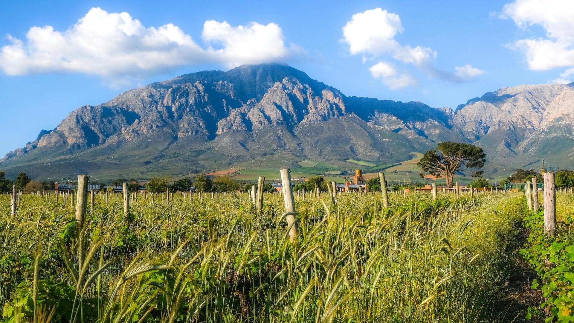 Mountaineering in Aberdare Range: A guide