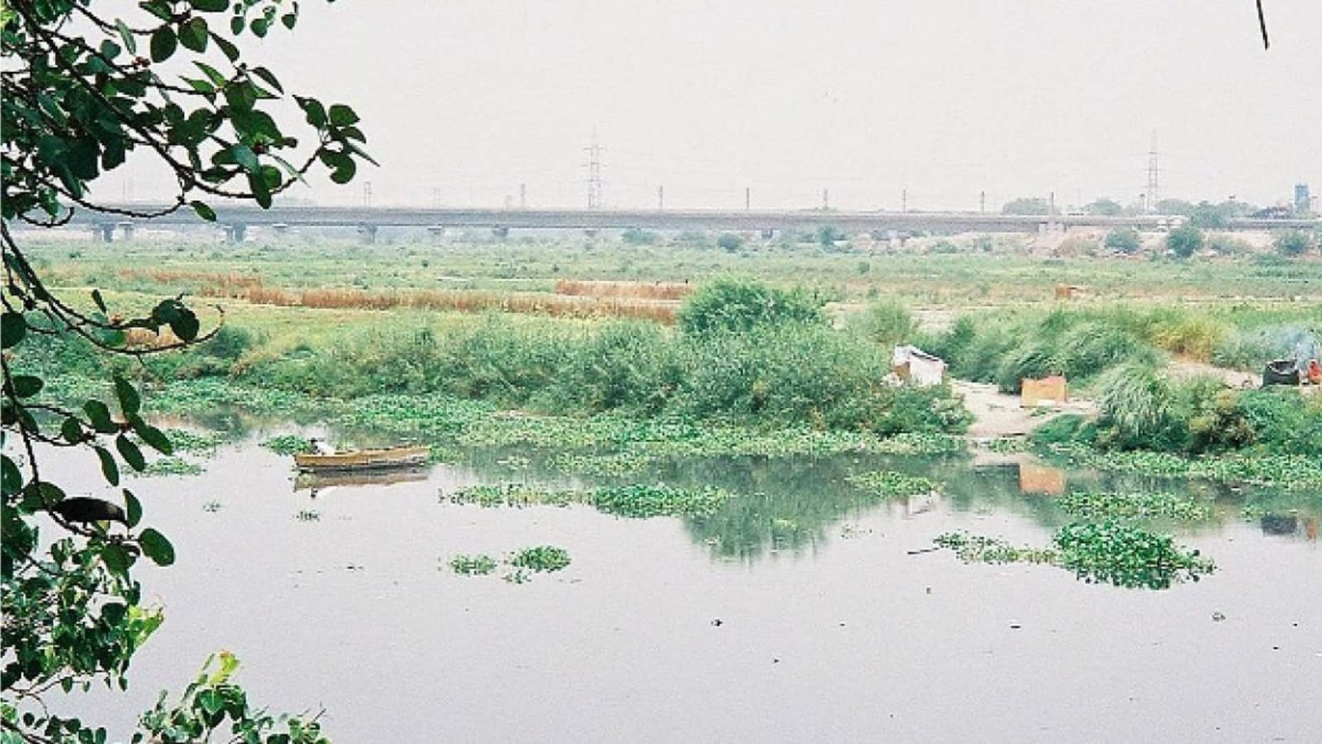 Haryana, UP to divert Ganga, Munak water to revive Yamuna