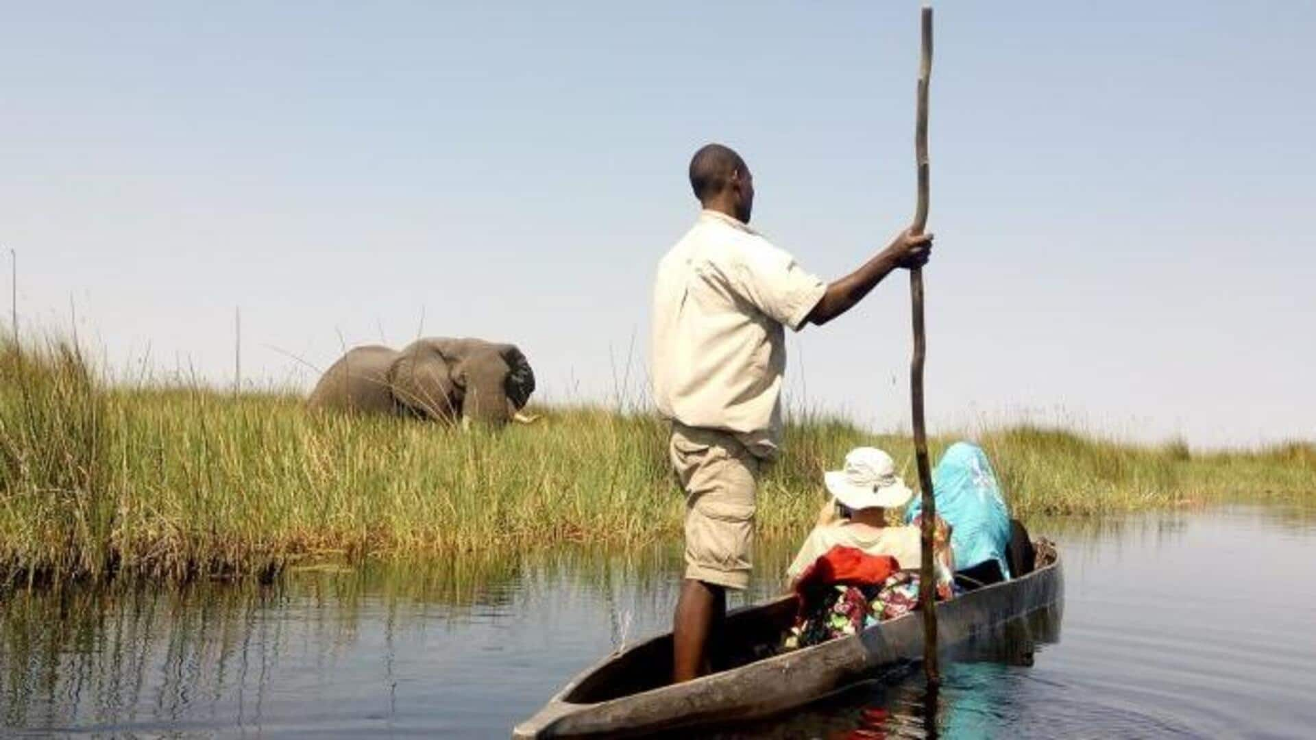 Glide through the heart of Botswana: Okavango Delta by mokoro