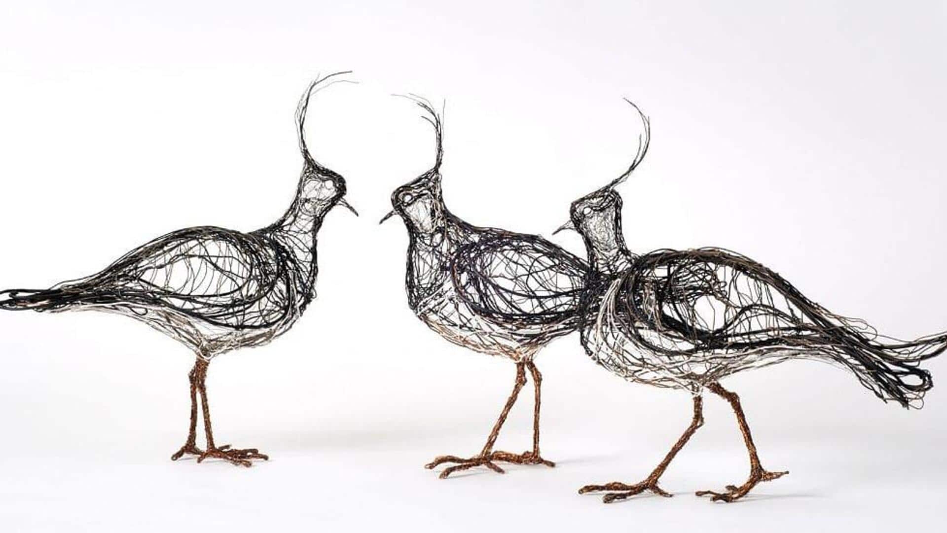 How to craft animal sculptures using wire art