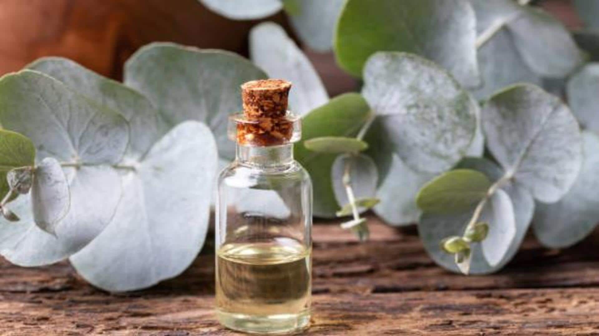 Why eucalyptus is valued for respiratory wellness 
