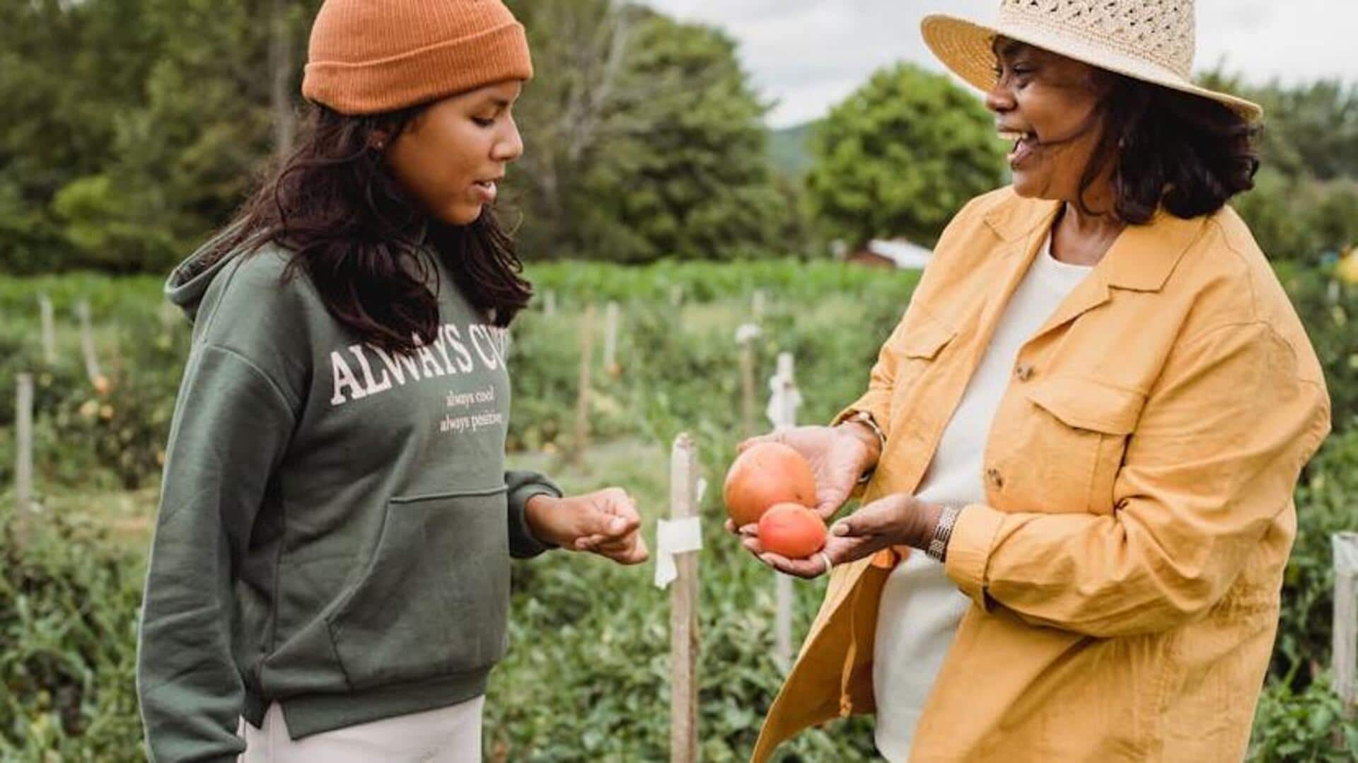 This is how you can maintain your veggie garden This is how you can maintain your veggie garden
