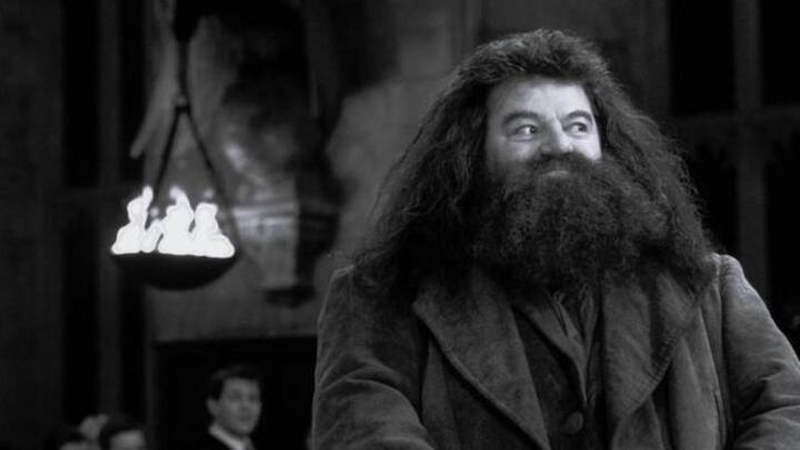 Robbie Coltrane passes away: Looking at his glowing legacy