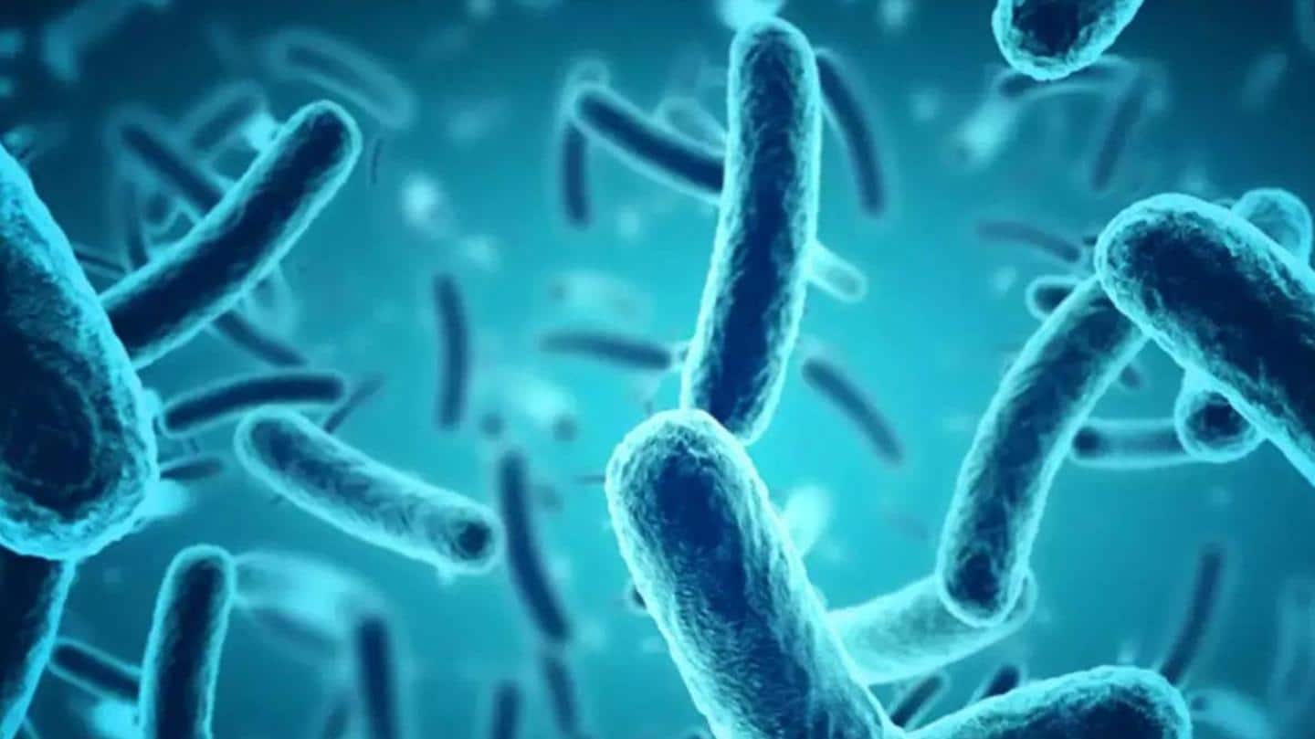 Boy hospitalized on September 1; tested positive for Nipah yesterday Boy hospitalized on September 1; tested positive for Nipah yesterday