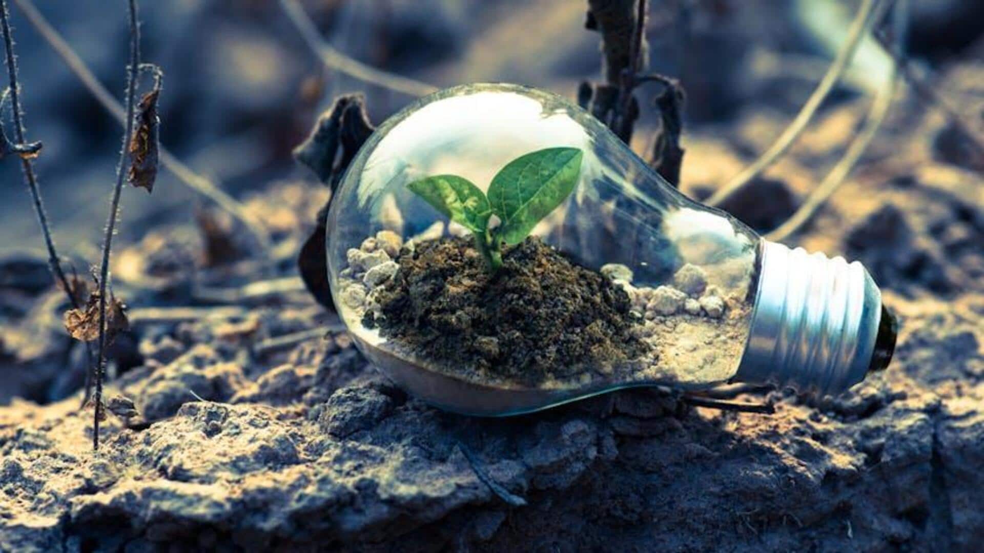 Sustainable living: 5 eco-friendly habits to cultivate Sustainable living: 5 eco-friendly habits to cultivate