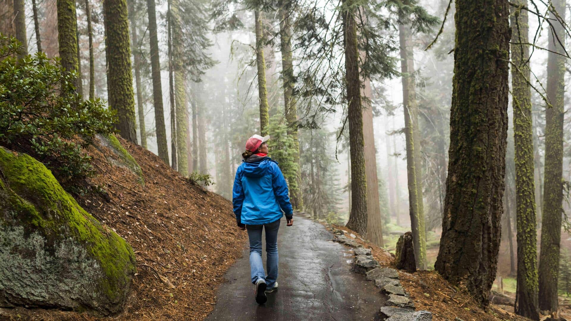 How to practice mindfulness through slow walking How to practice mindfulness through slow walking