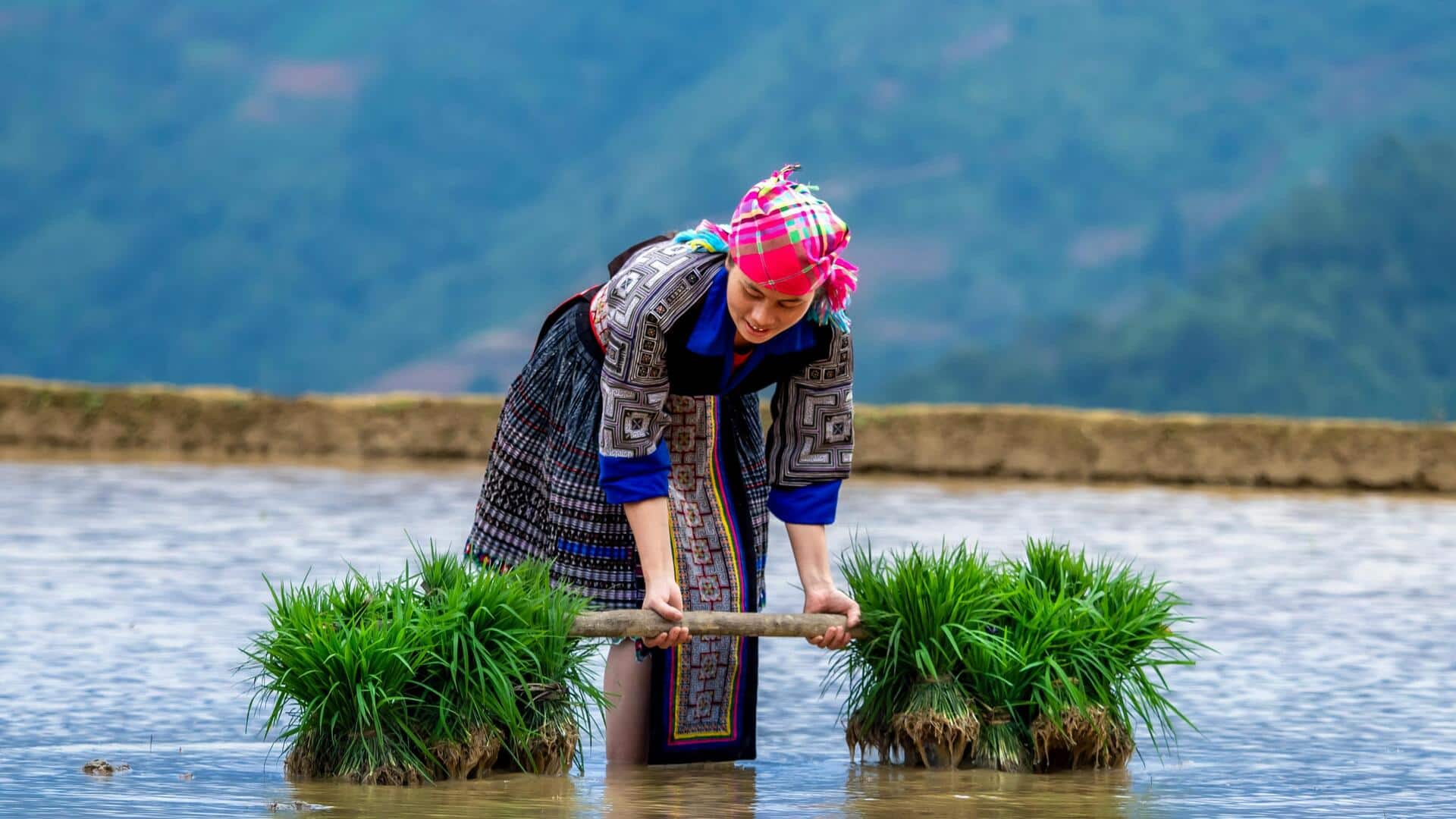 Why rice is the heartbeat of Southeast Asian culture
