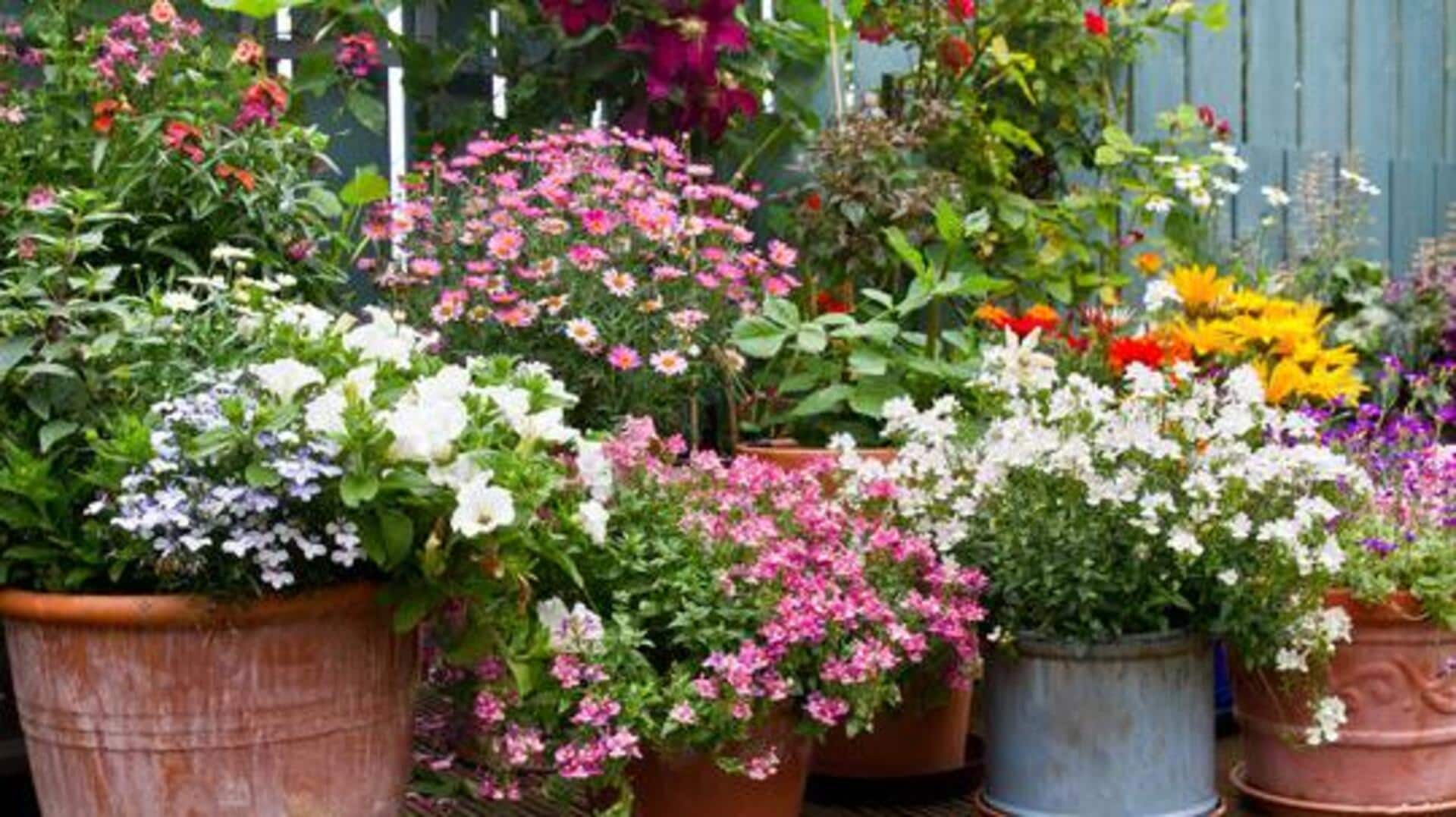 Transform your clay pots into stylish plant holders