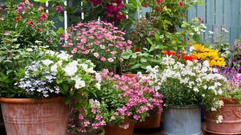 Transform your clay pots into stylish plant holders