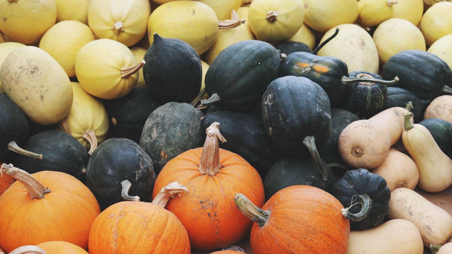 5 health benefits of squash you must remember