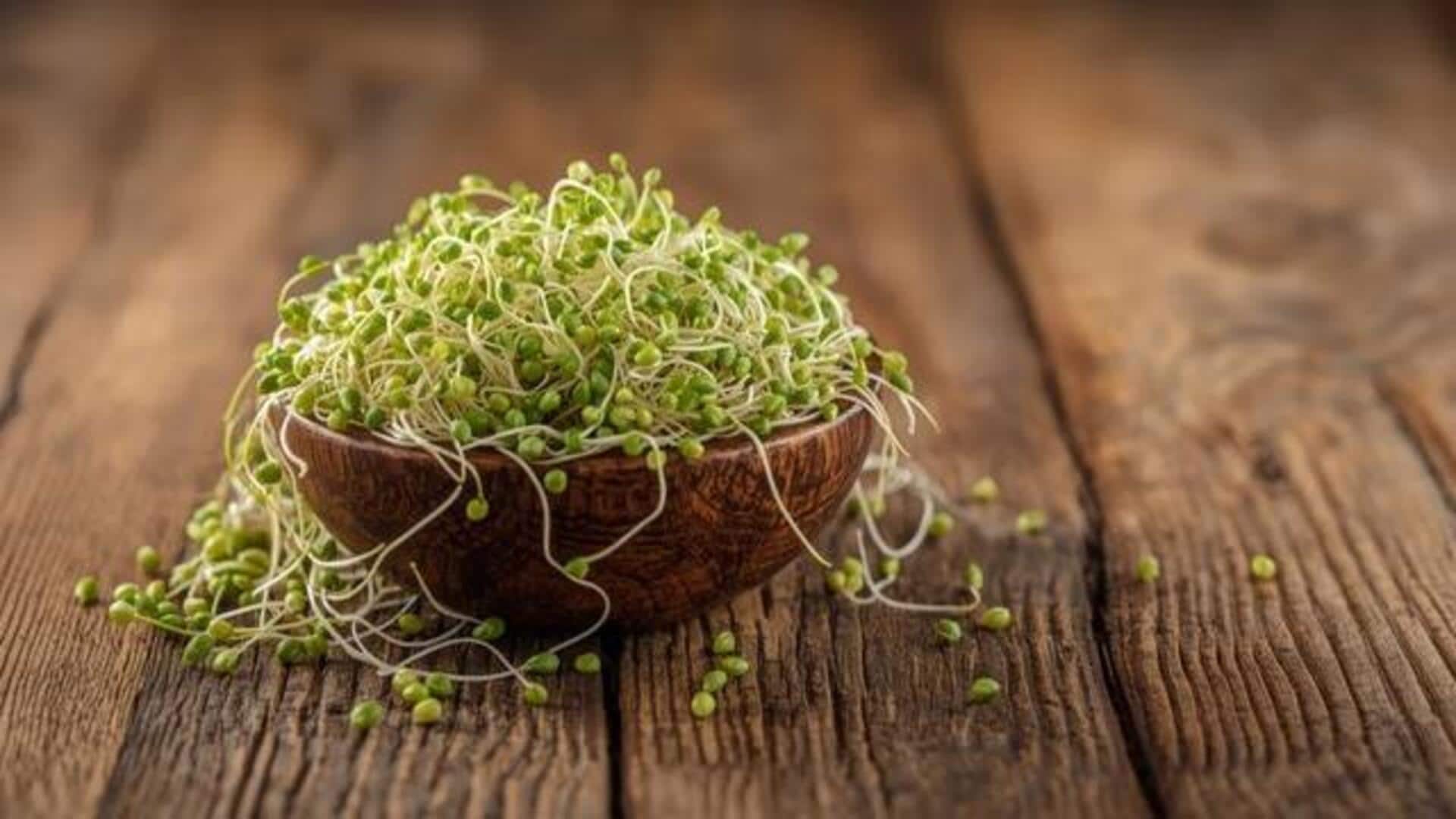 Why you should start eating alfalfa sprouts 