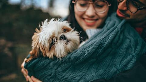Dog owners can identify their pets by scent, study reveals