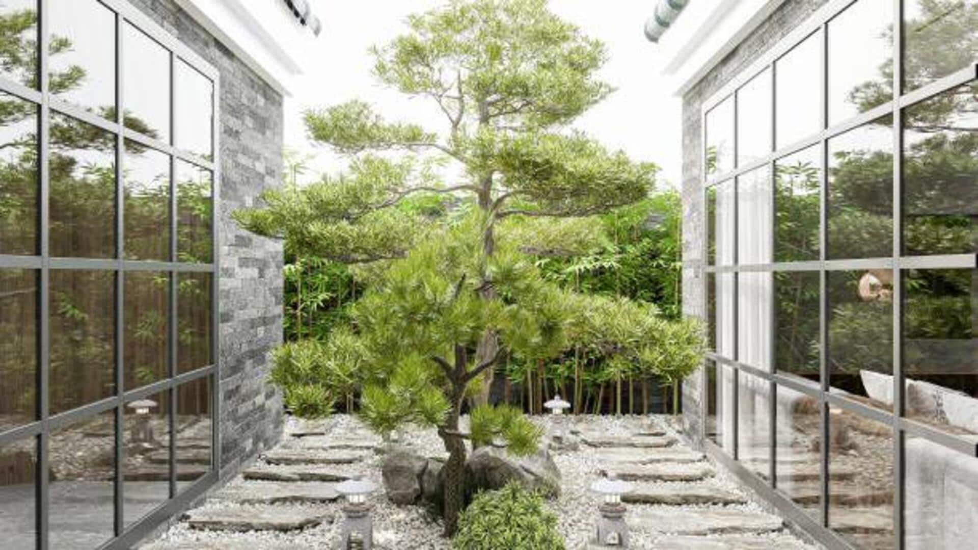 Zen garden hacks we bet you didn't know Zen garden hacks we bet you didn't know