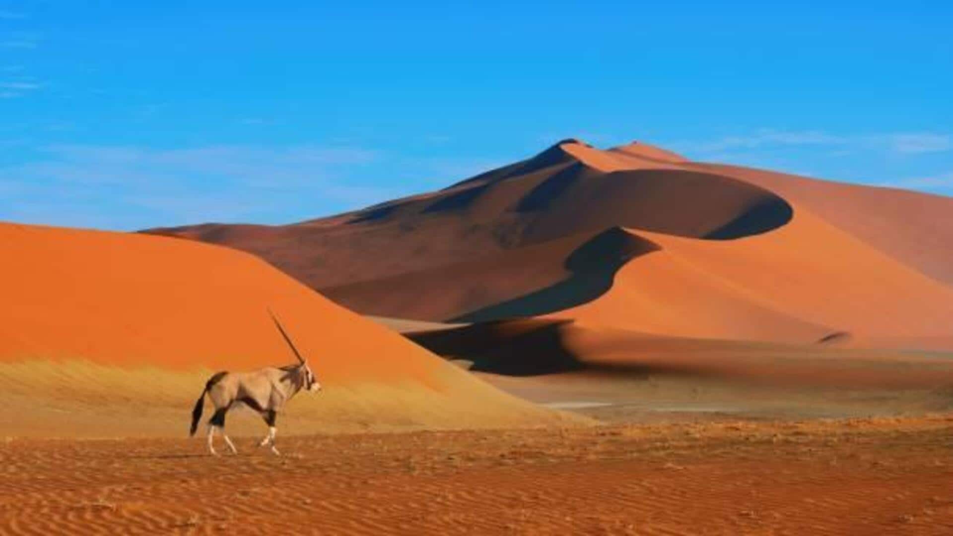 Escape to Namibia: 5 peaceful spots worth exploring Escape to Namibia: 5 peaceful spots worth exploring