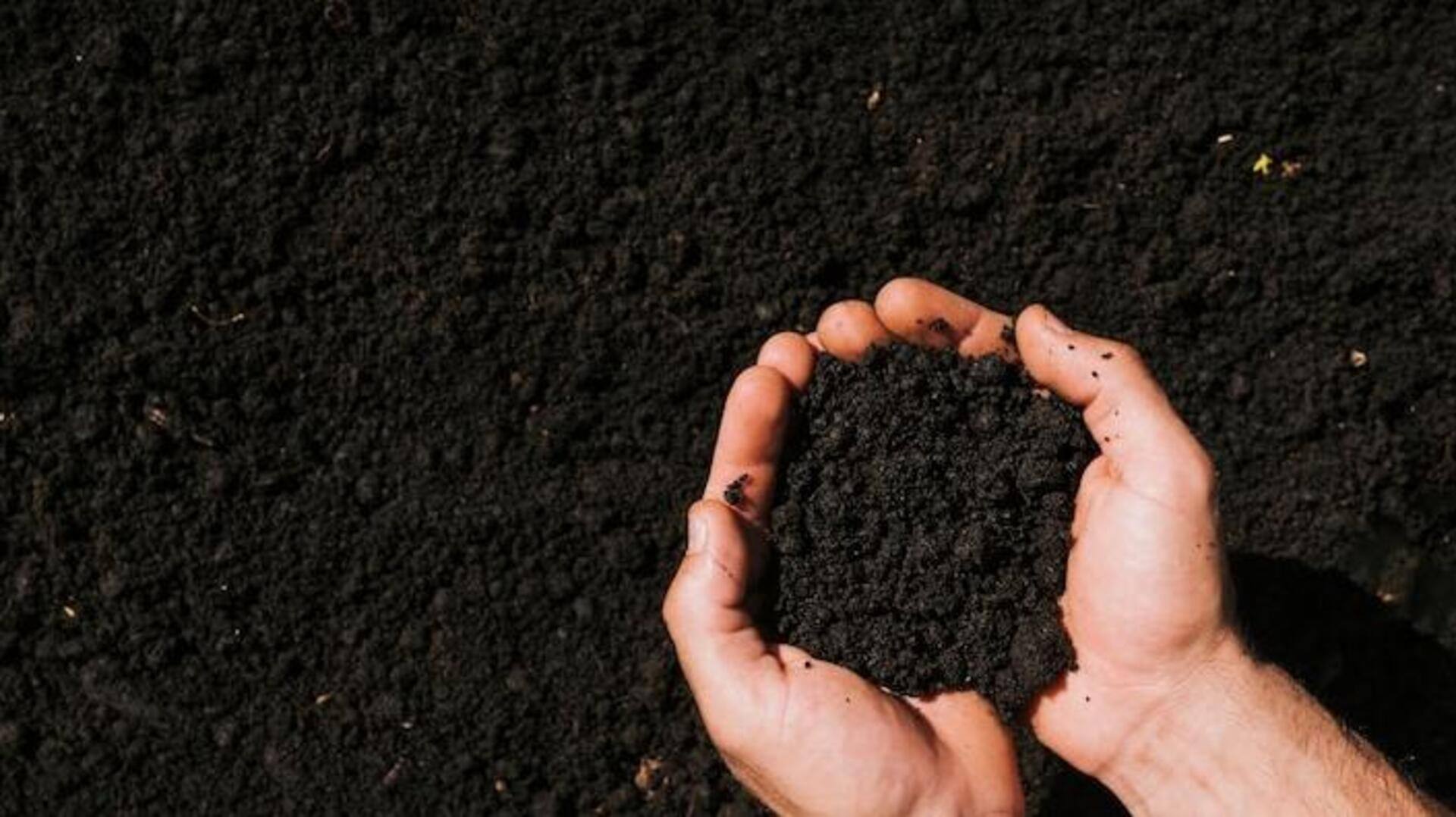 Two-thirds of all species live in the soil: Study