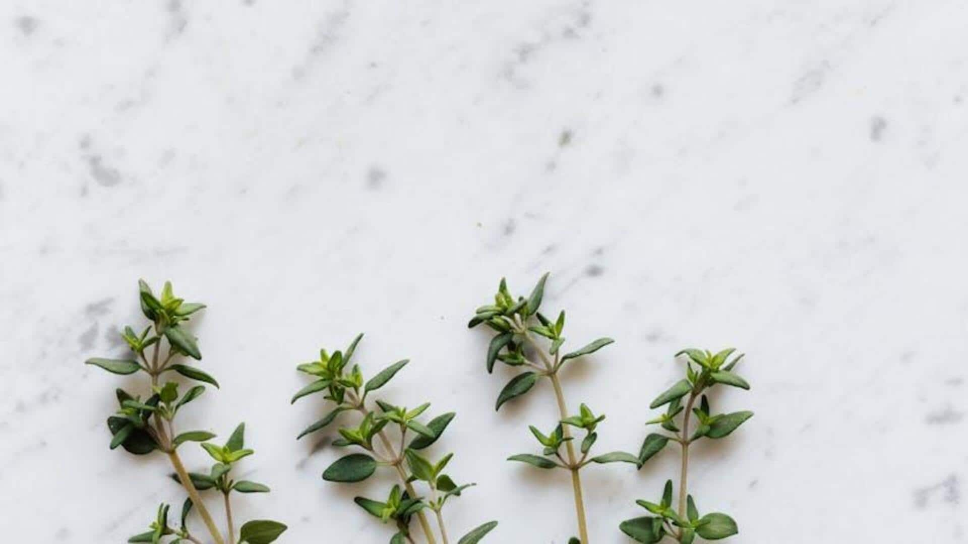 Thriving thyme: 5 essential cultivation tips