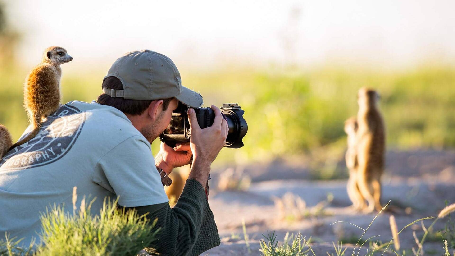 Exploring African wildlife through photography