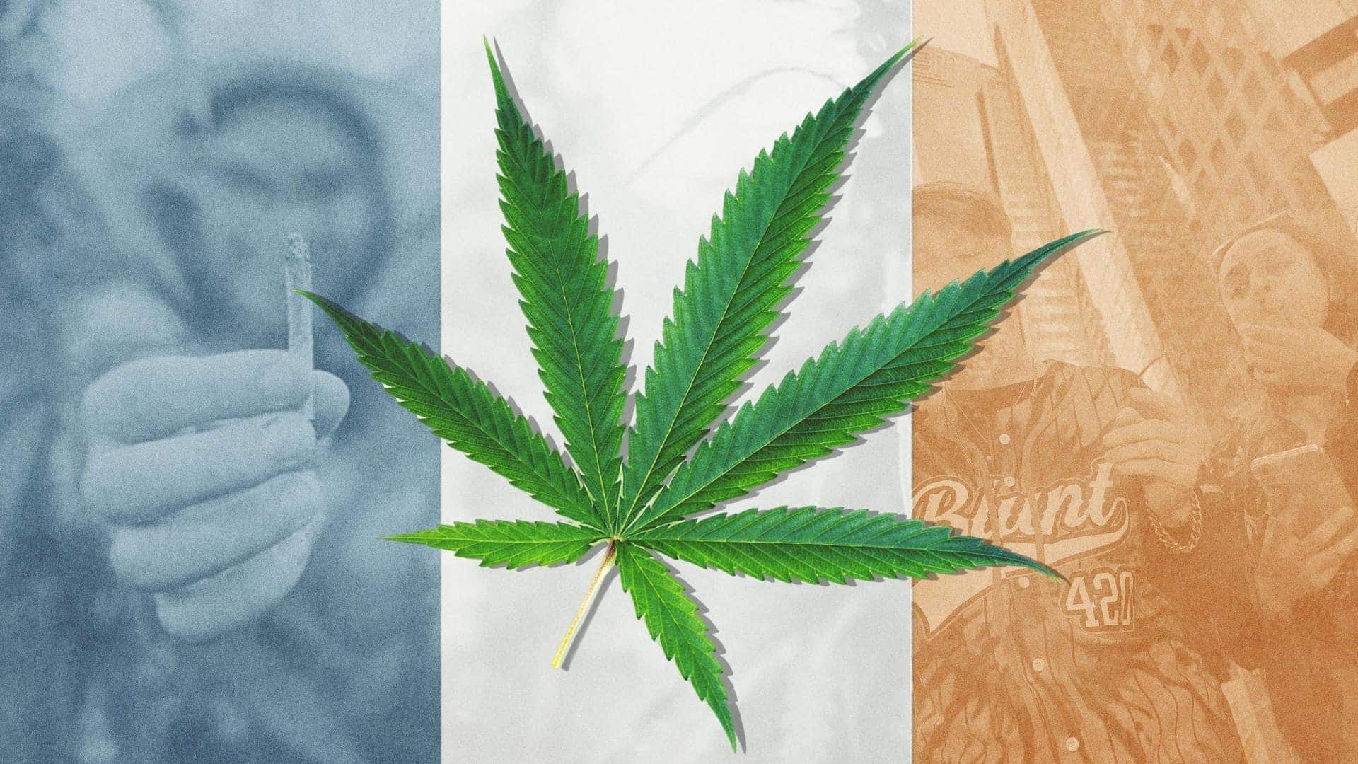 Cannabis may increase your diabetes risk 4 times, study warns