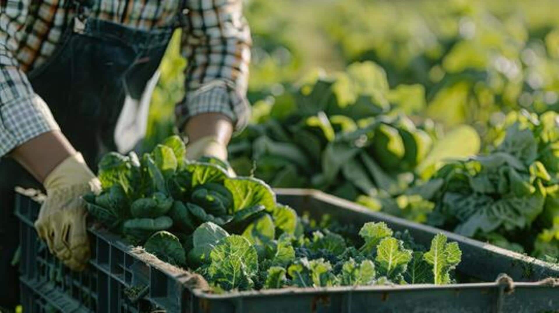 How farmers preserve seasonal produce