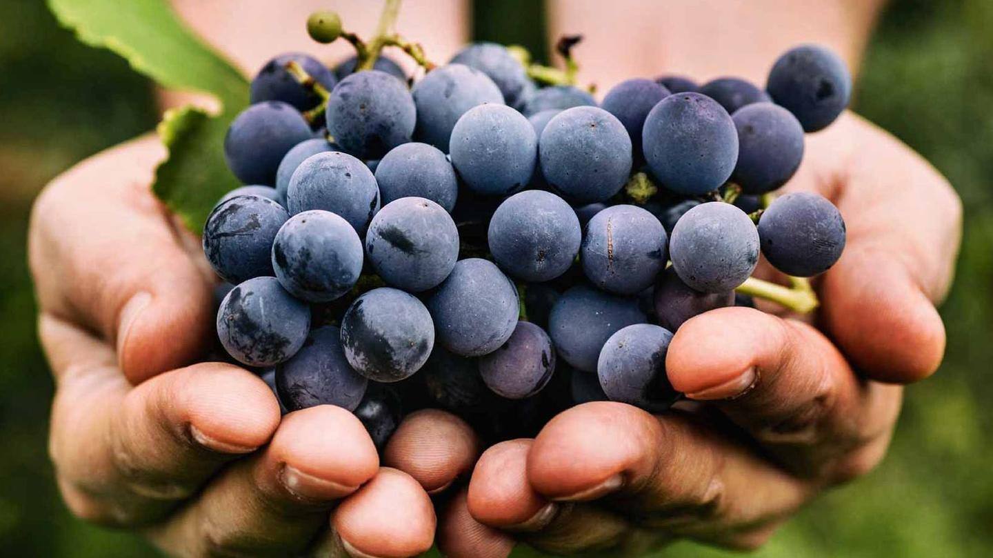 #HealthBytes: Impressive health benefits of grapes you should know about
