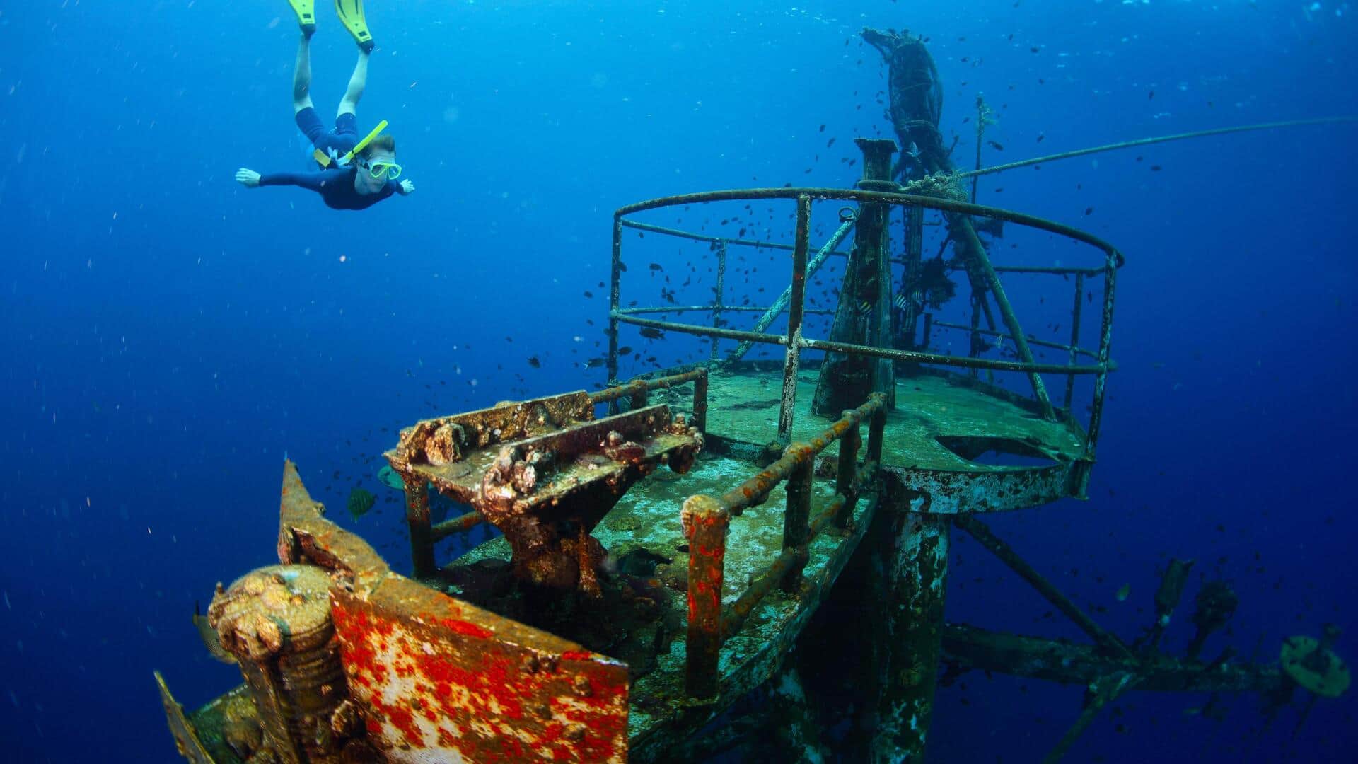 If looking for shipwrecks excites you, this is your guide