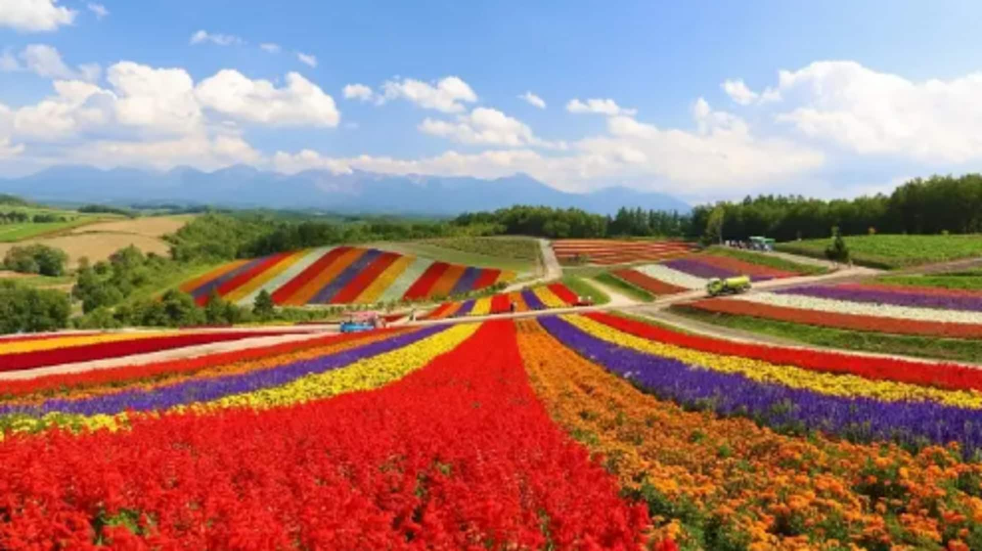 Add these scenic spots in Hokkaido, Japan to your itinerary