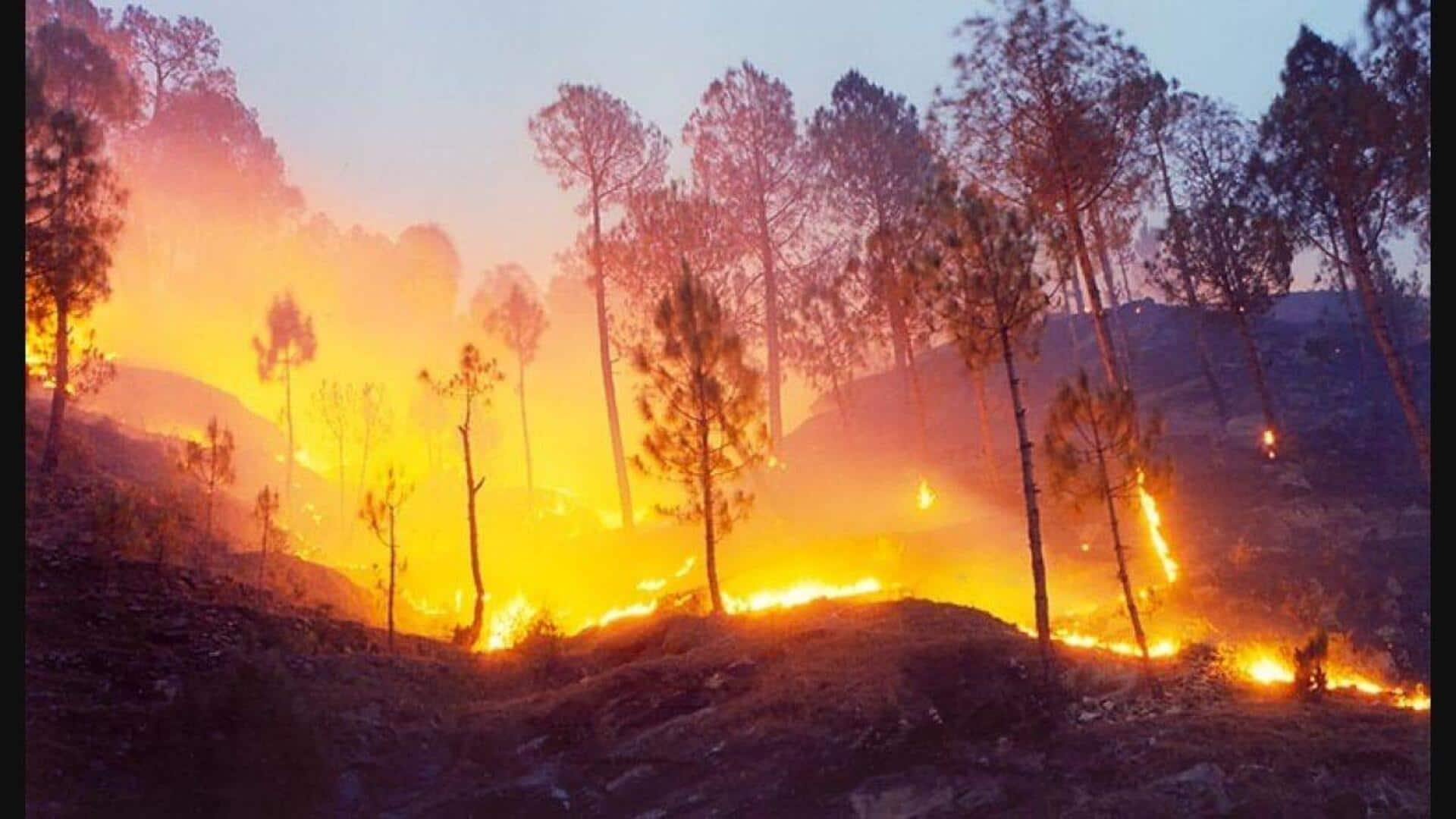 Forest fires ravage Uttarakhand; flames spread across Kedarnath, Nainital hills 