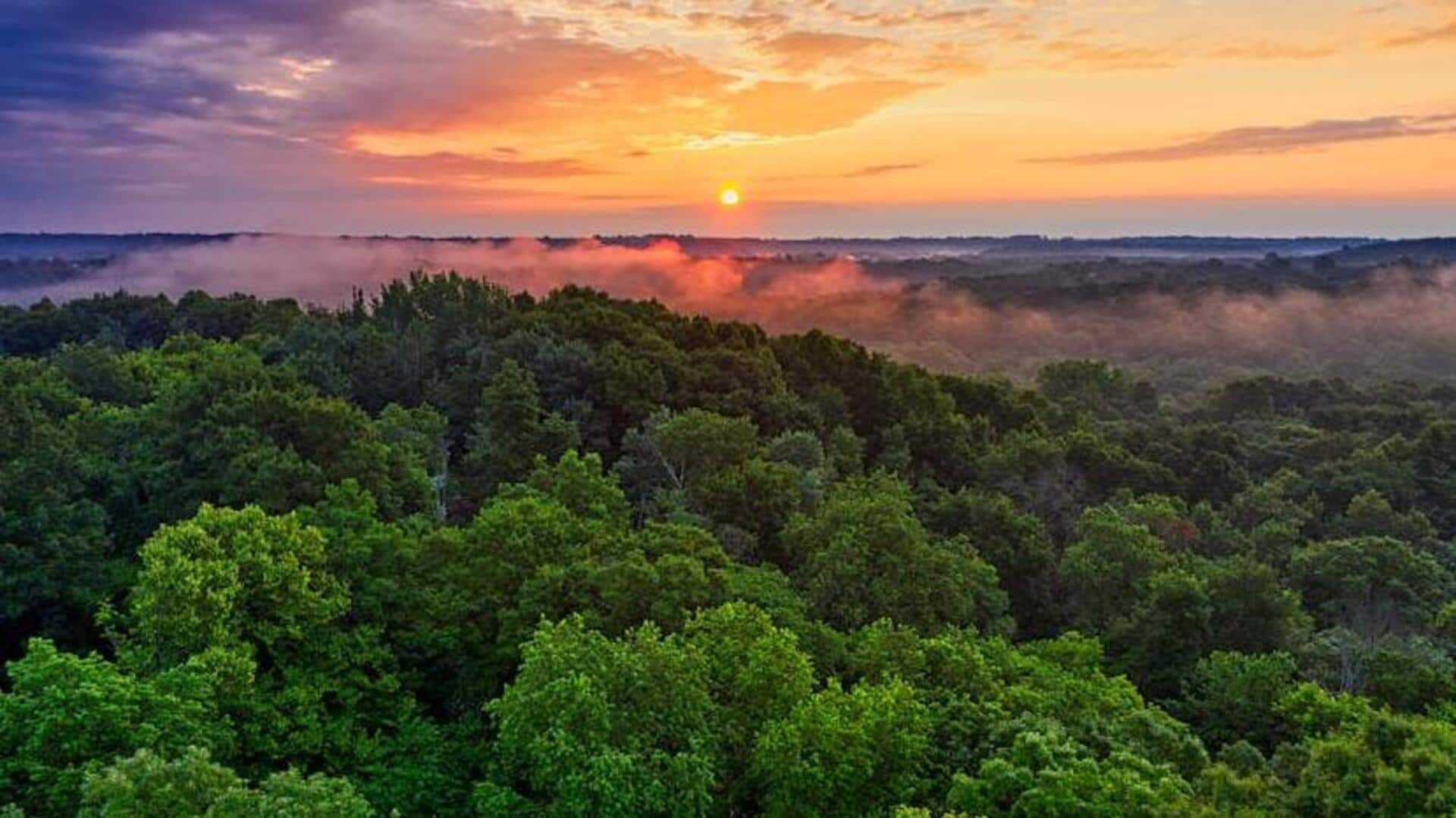 Capture the untamed beauty of Amazon Rainforest, Brazil