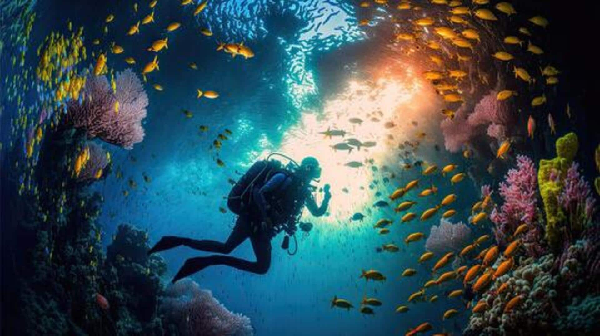 Snorkeling safaris: Discover the wonders of marine life Snorkeling safaris: Discover the wonders of marine life